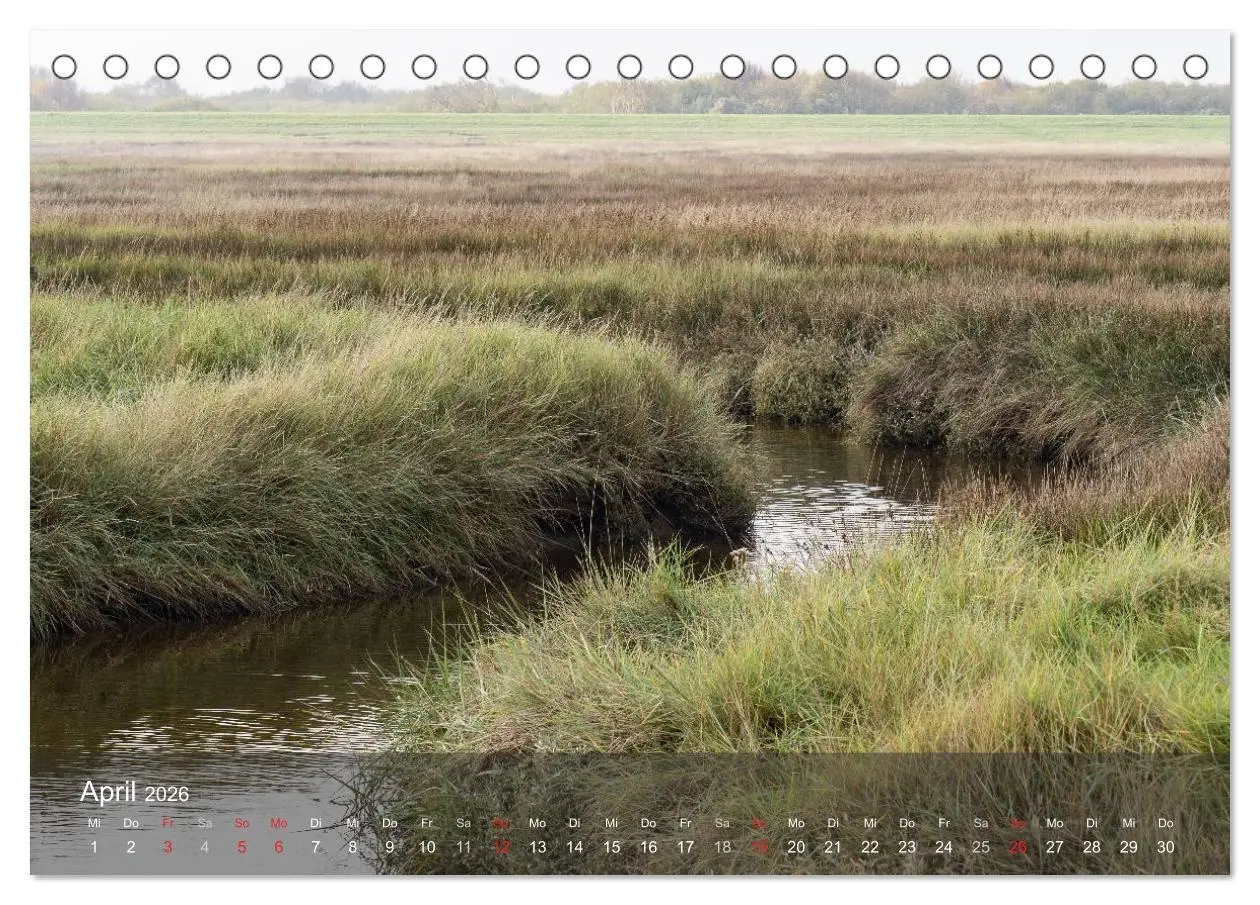 Bild: 9783457984253 | Texel - Meine Insel (Tischkalender 2026 DIN A5 quer), CALVENDO...