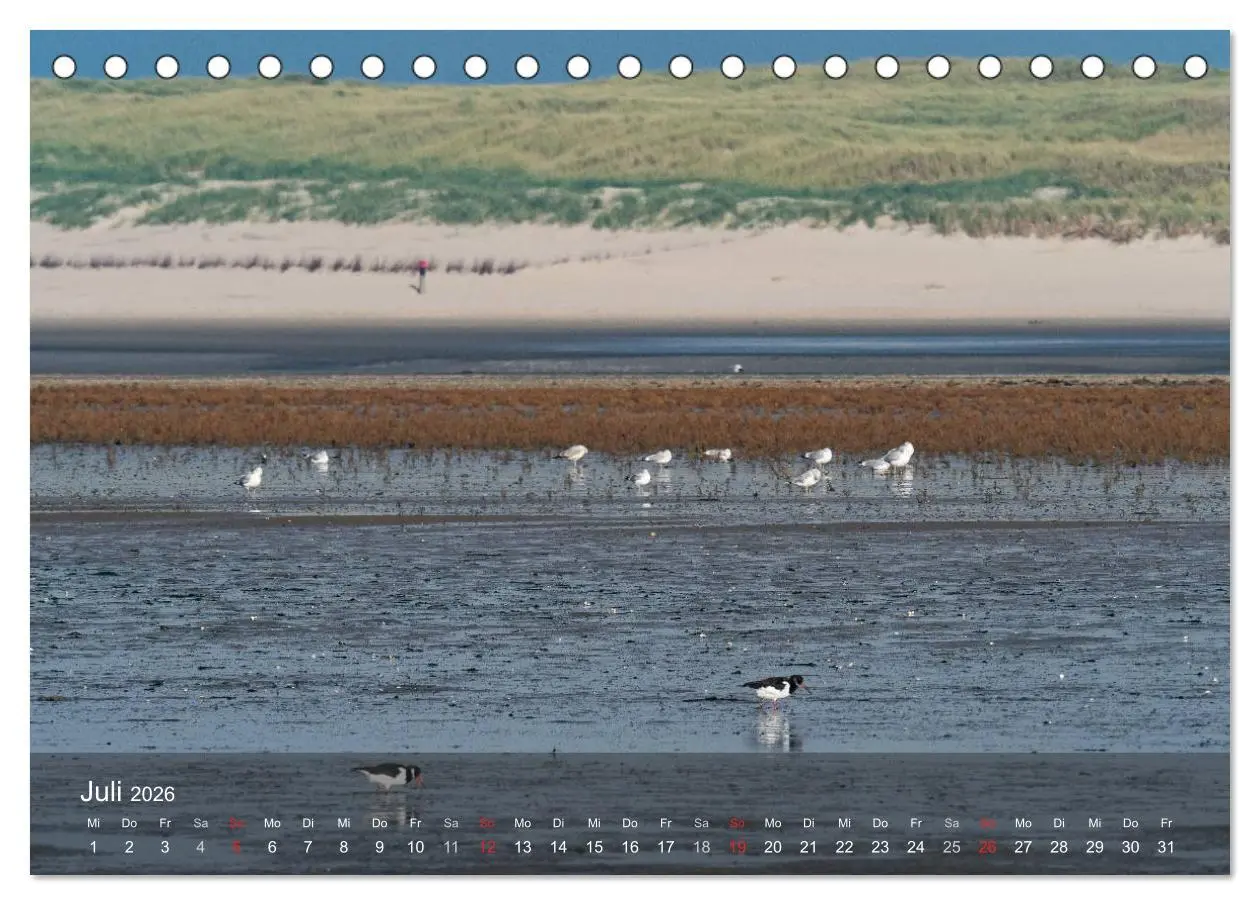 Bild: 9783457984253 | Texel - Meine Insel (Tischkalender 2026 DIN A5 quer), CALVENDO...