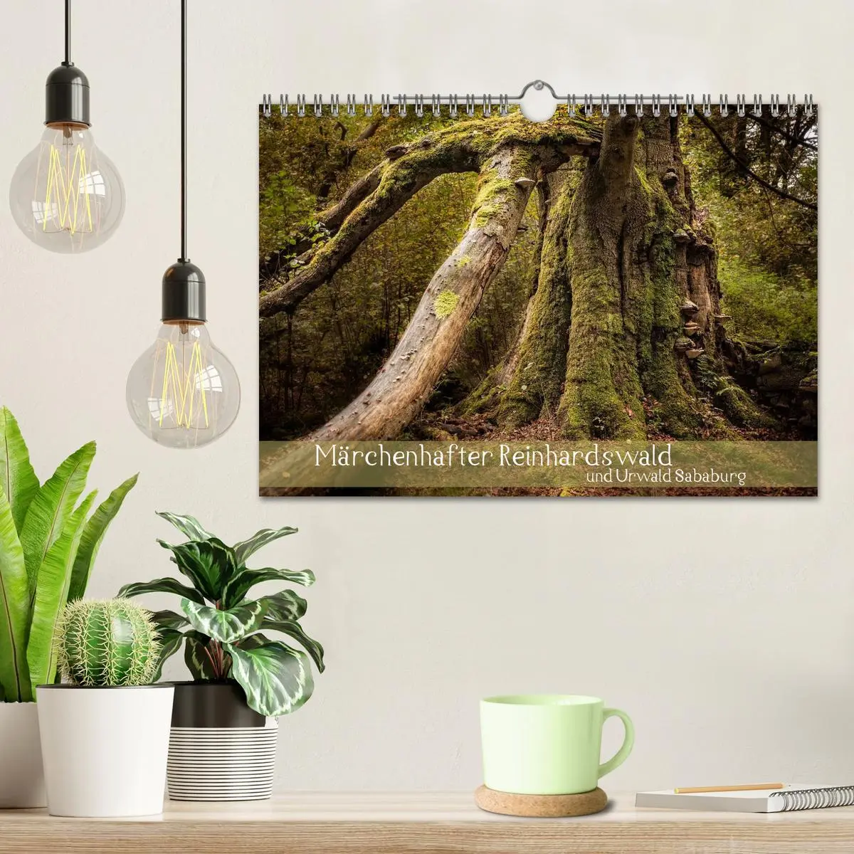Bild: 9783516074253 | Märchenhafter Reinhardswald und Urwald Sababurg (Wandkalender 2026...