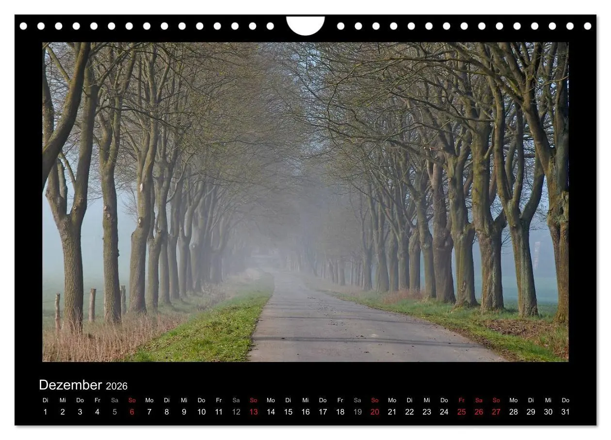 Bild: 9783516074253 | Märchenhafter Reinhardswald und Urwald Sababurg (Wandkalender 2026...