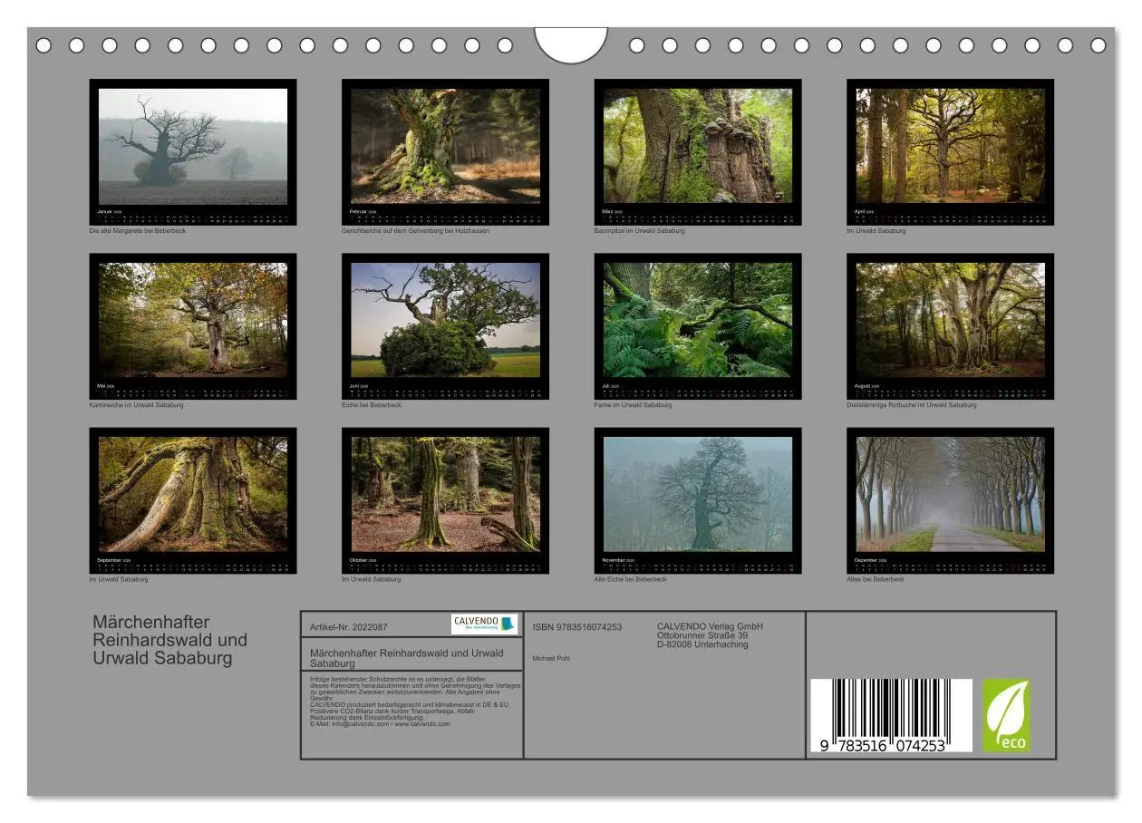 Bild: 9783516074253 | Märchenhafter Reinhardswald und Urwald Sababurg (Wandkalender 2026...