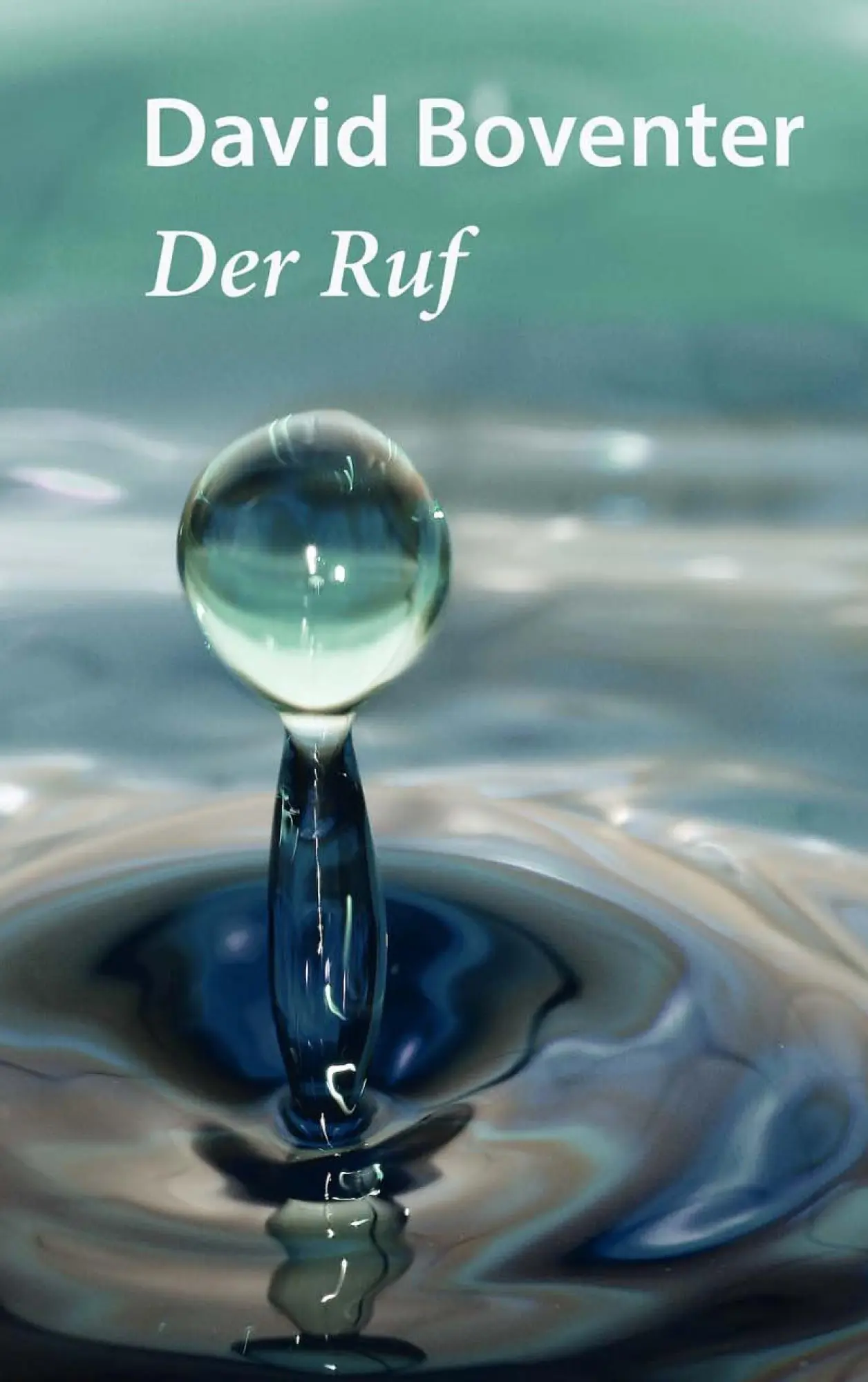 Cover: 9783739204253 | Der Ruf | David Boventer | Taschenbuch | 24 S. | Deutsch | 2015