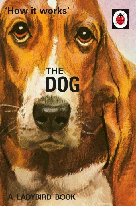 Cover: 9780718184353 | How it Works: The Dog | Jason Hazeley (u. a.) | Buch | 54 S. | 2016