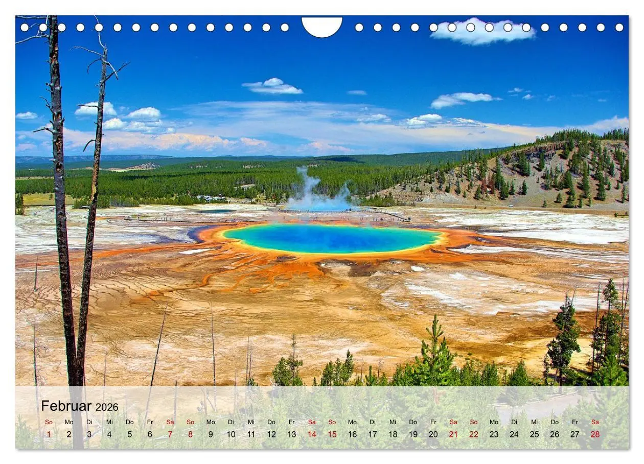 Bild: 9783457594353 | Magische Wunderwelten der Natur (Wandkalender 2026 DIN A4 quer),...