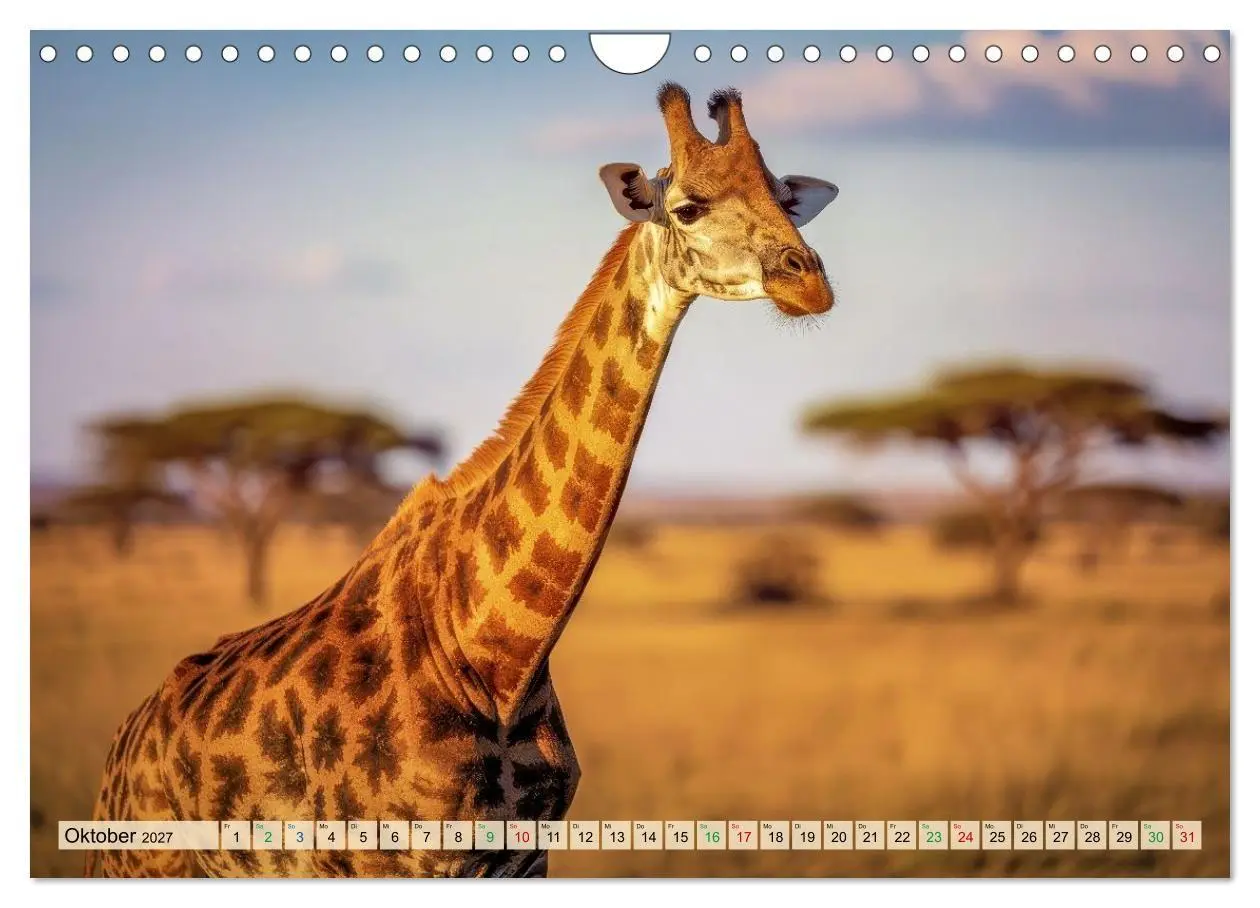 Bild: 9783516824353 | Großtiere - Weltweit (Wandkalender 2027 DIN A4 quer), CALVENDO...