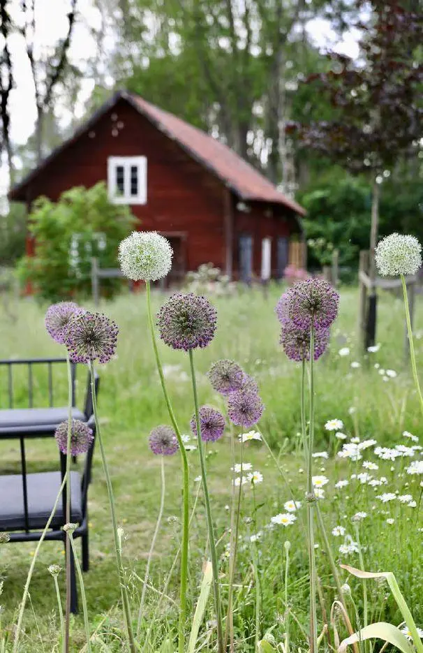 Bild: 9783735854353 | Kleine Umwege, große Erlebnisse. Eine Reise zu verborgenen...