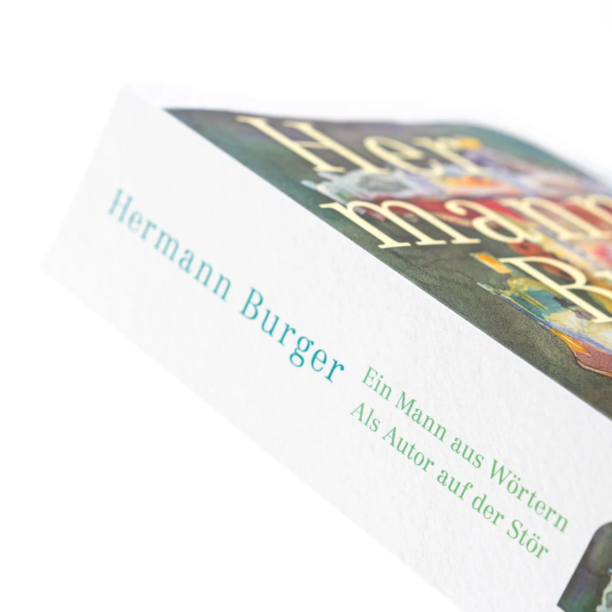 Bild: 9783312014453 | Ein Mann aus Wörtern. Als Autor auf der Stör | Hermann Burger | Buch