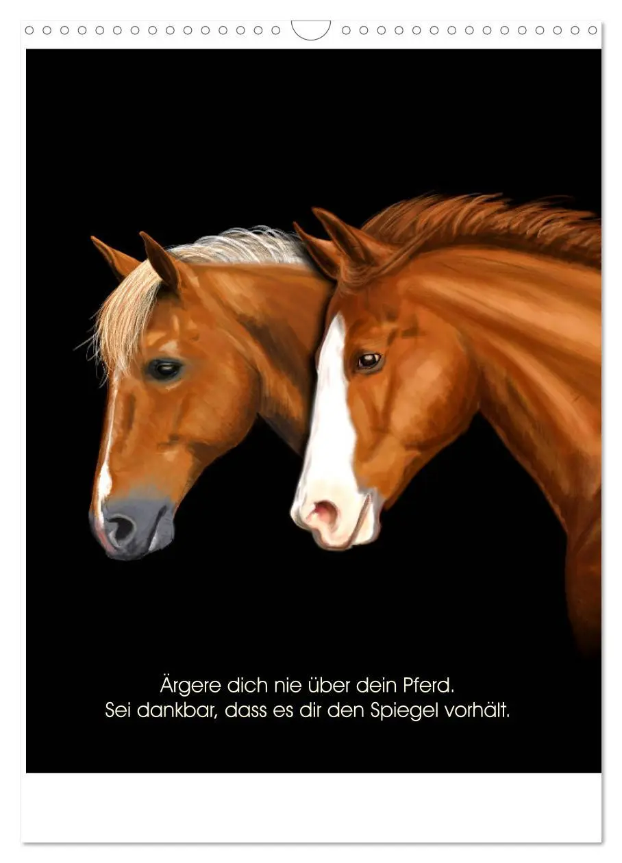 Bild: 9783435944453 | Reiterfreuden. Sprüche und Weisheiten für Pferdemenschen...
