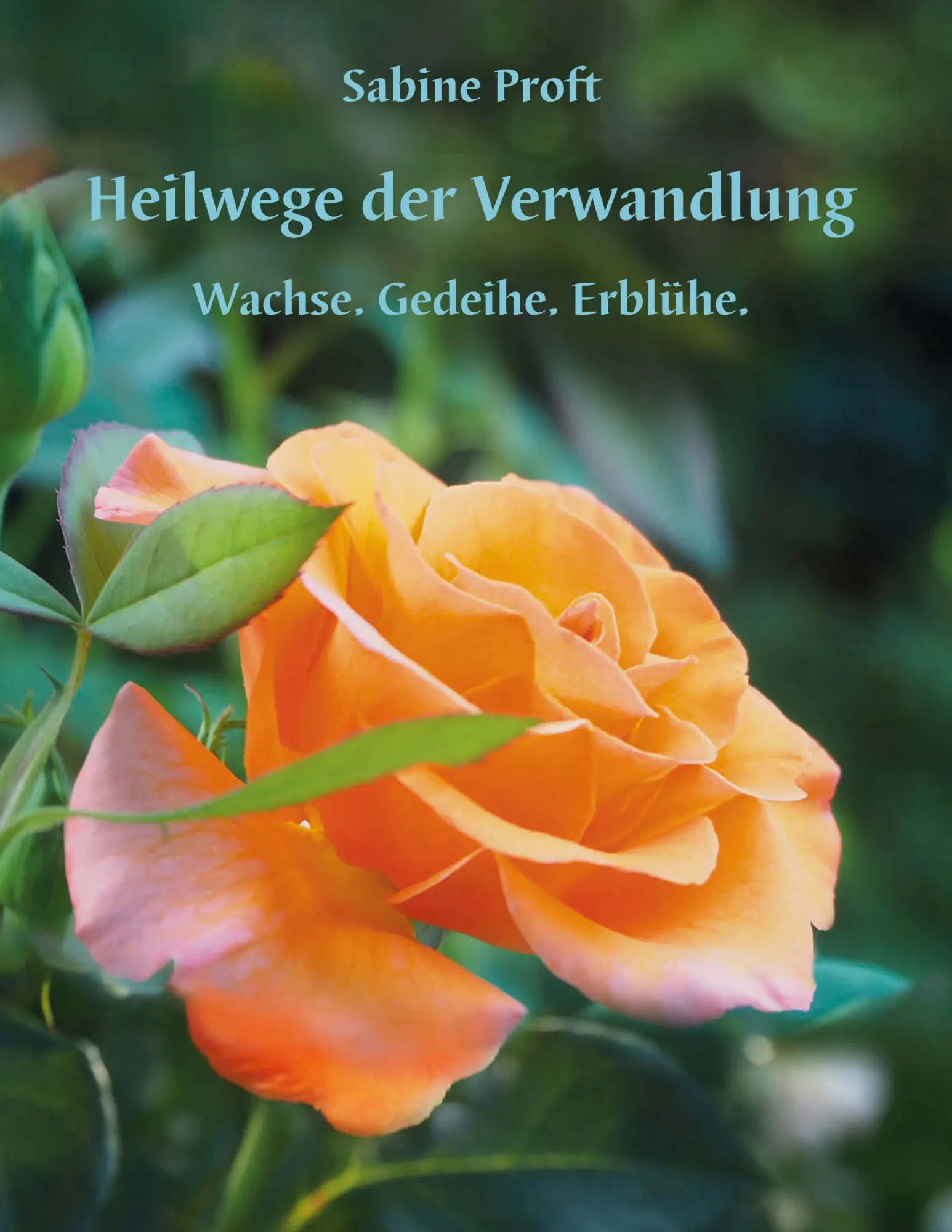 Cover: 9783754344453 | Heilwege der Verwandlung | Wachse.Gedeihe.Erblühe. | Sabine Proft