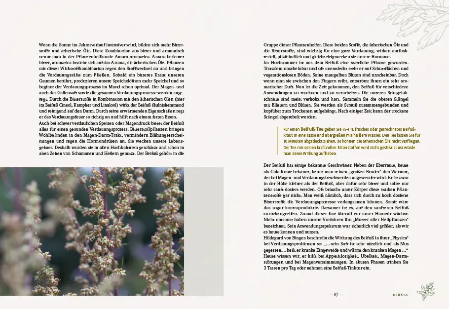 Bild: 9783818614553 | Die wilden Neun | Simone Detto (u. a.) | Buch | 192 S. | Deutsch
