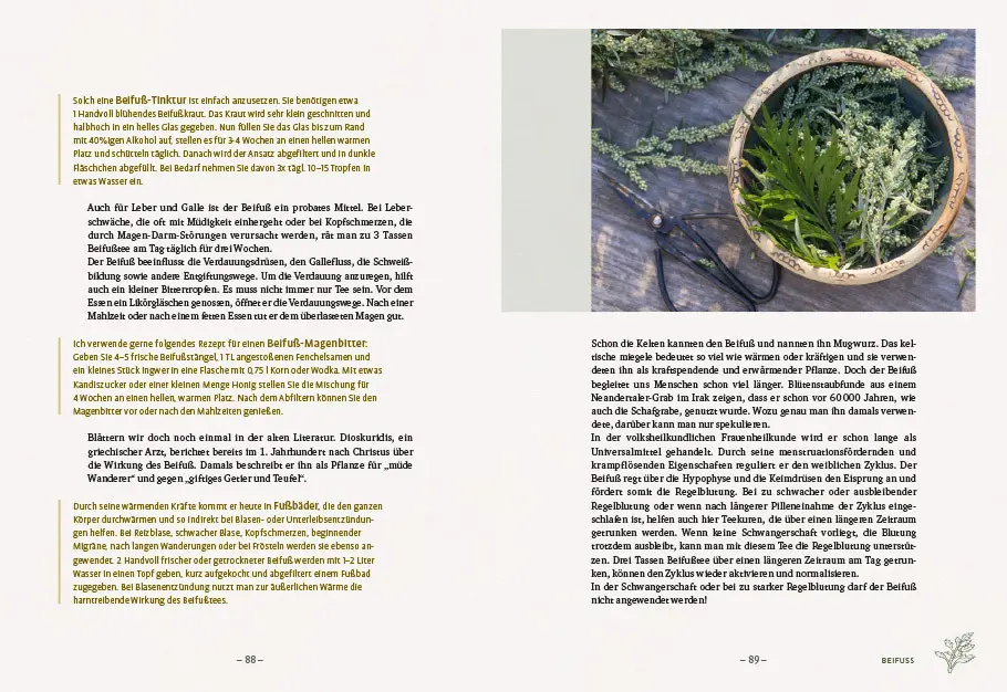 Bild: 9783818614553 | Die wilden Neun | Simone Detto (u. a.) | Buch | 192 S. | Deutsch