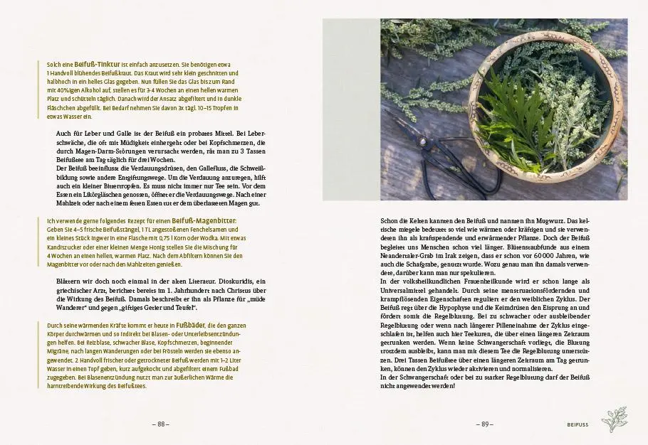 Bild: 9783818614553 | Die wilden Neun | Simone Detto (u. a.) | Buch | 192 S. | Deutsch