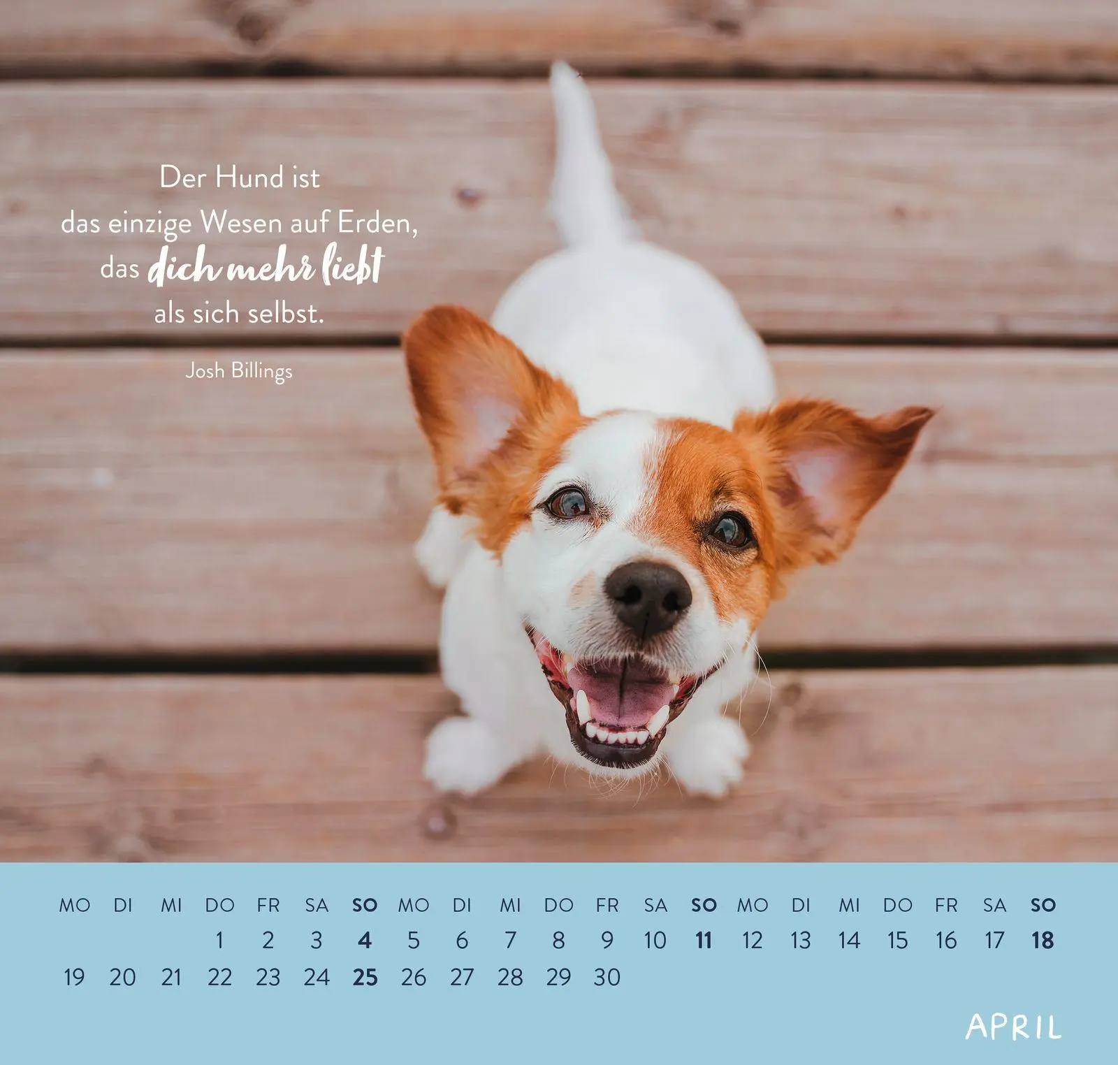 Bild: 4036442014653 | Wandkalender 2027: Für Hundefreunde | Groh Verlag | Kalender | 12 S.