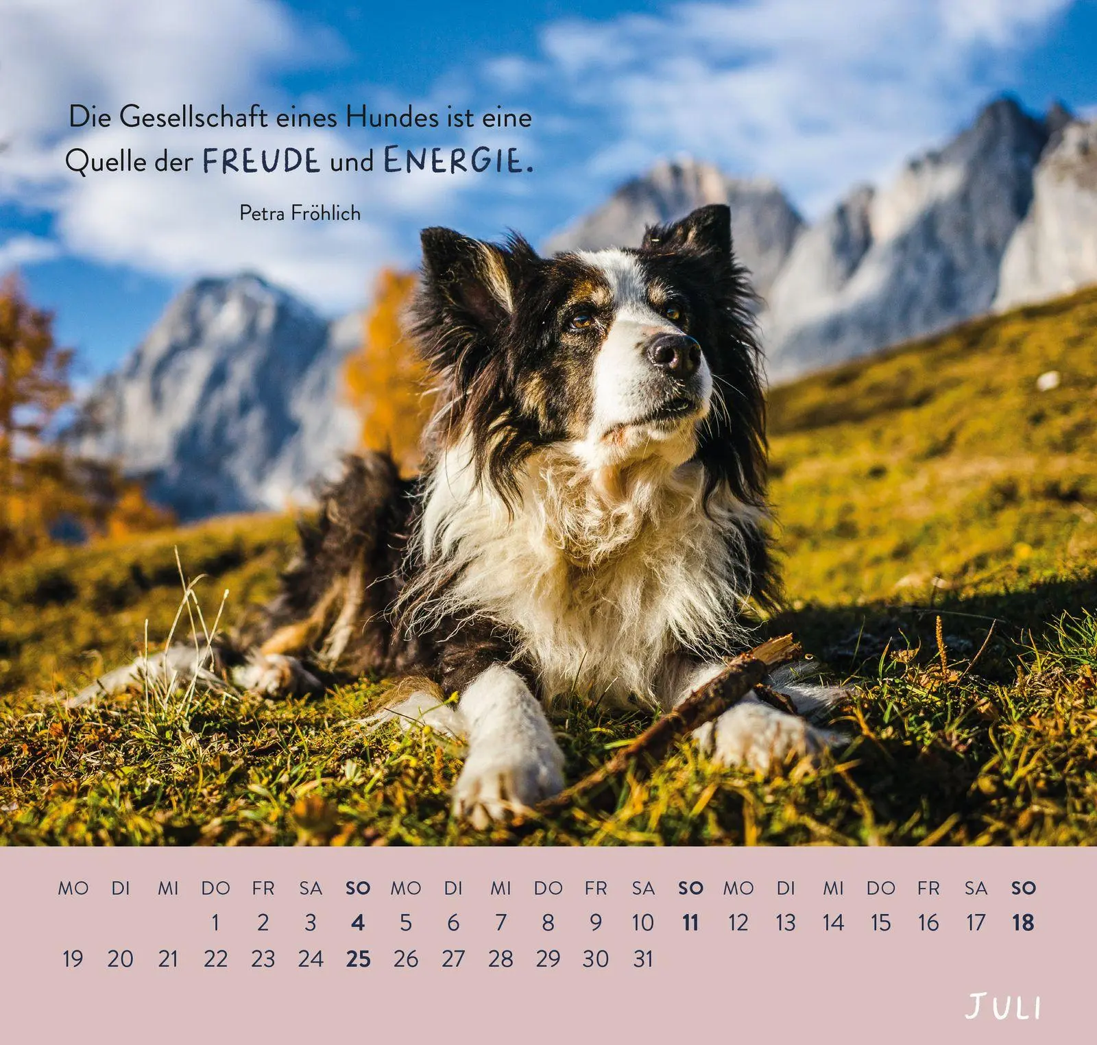 Bild: 4036442014653 | Wandkalender 2027: Für Hundefreunde | Groh Verlag | Kalender | 12 S.
