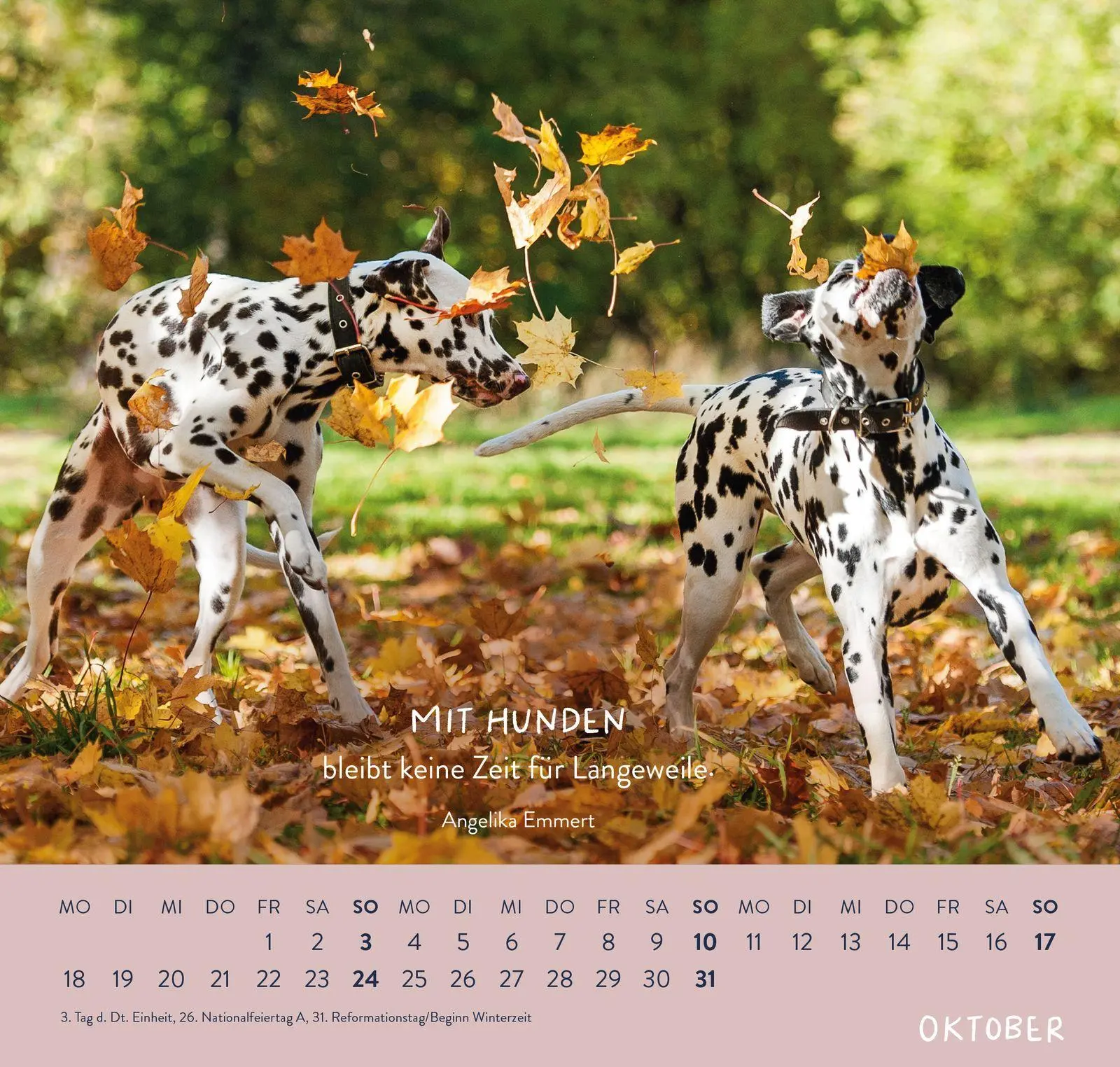 Bild: 4036442014653 | Wandkalender 2027: Für Hundefreunde | Groh Verlag | Kalender | 12 S.