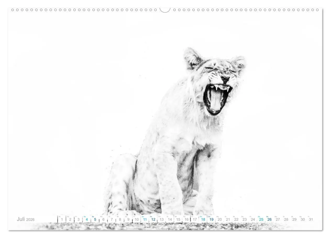 Bild: 9783457704653 | AFRIKA - Schwarz-weiss Fotografien im modernen "High Key" Look...