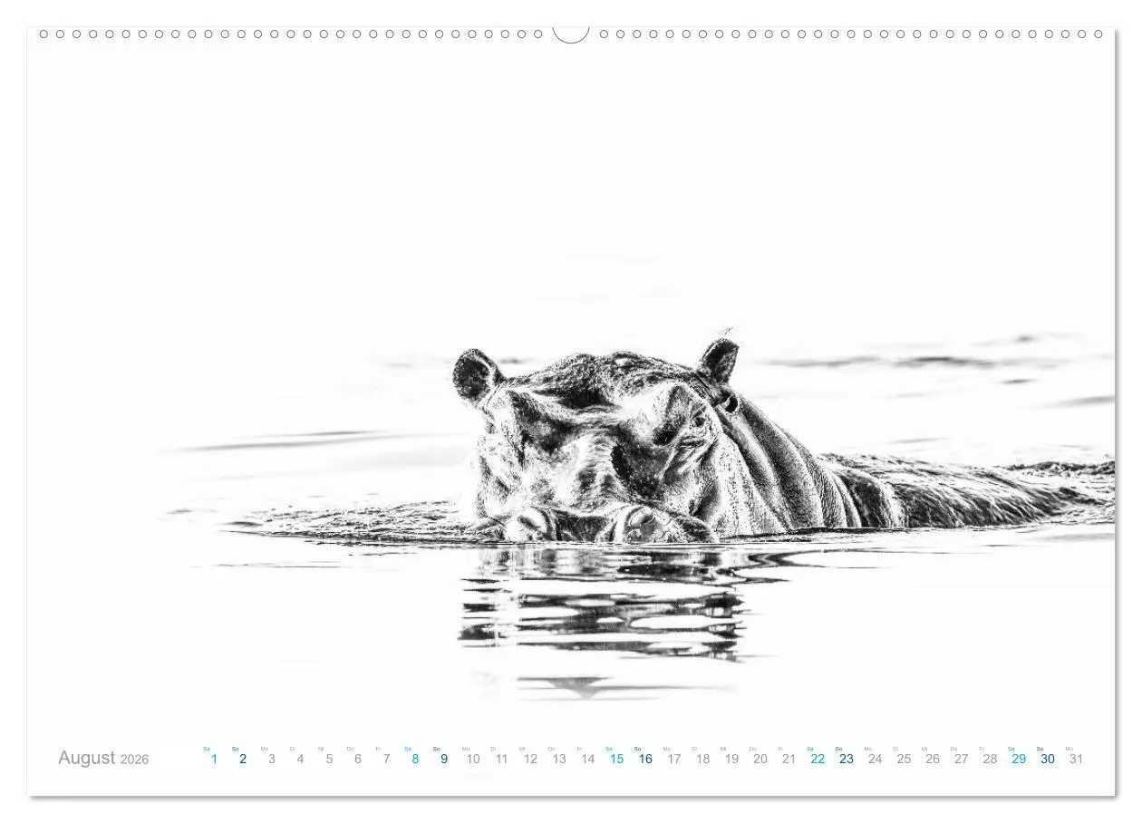Bild: 9783457704653 | AFRIKA - Schwarz-weiss Fotografien im modernen "High Key" Look...