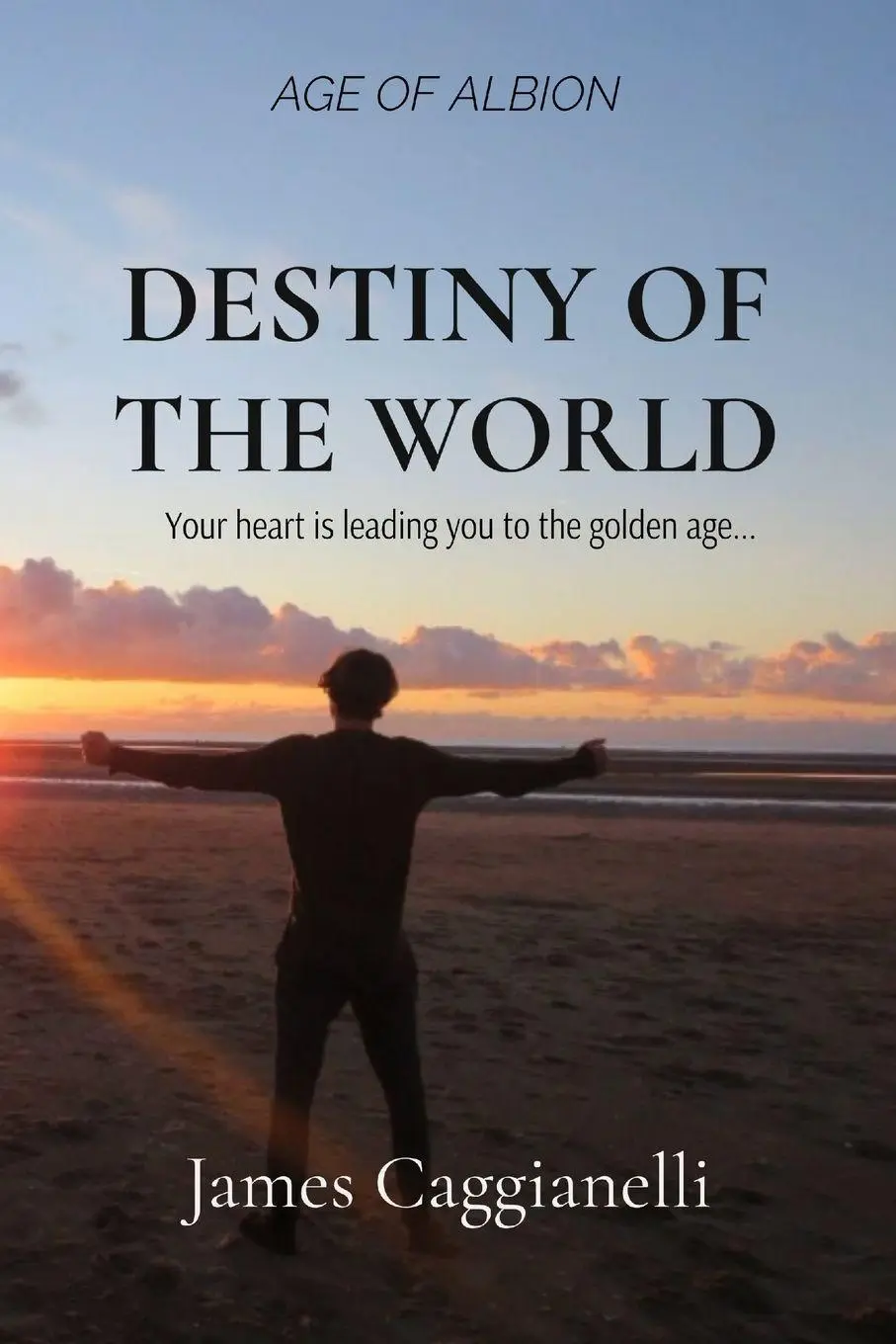 Cover: 9781036904753 | DESTINY OF THE WORLD | James Valerio Caggianelli | Taschenbuch | 2024