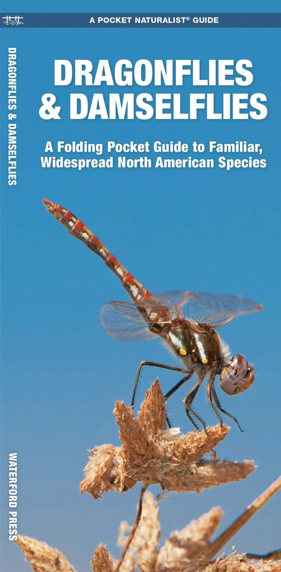 Cover: 9781583554753 | Dragonflies &amp; Damselflies | James Kavanagh (u. a.) | Broschüre | 2009