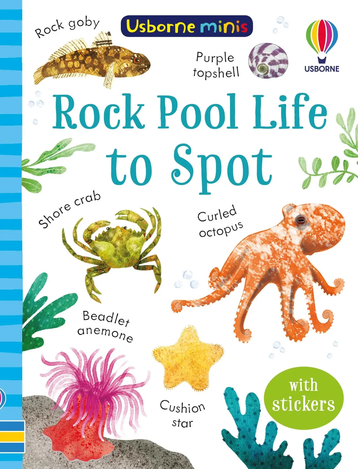 Cover: 9781803704753 | Rock Pool Life to Spot | Simon Tudhope | Taschenbuch | Englisch | 2023