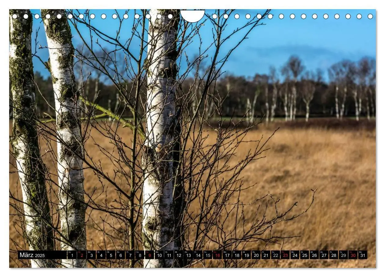 Bild: 9783435604753 | Worpswede - Künstlerdorf unter weitem Himmel (Wandkalender 2025 DIN...