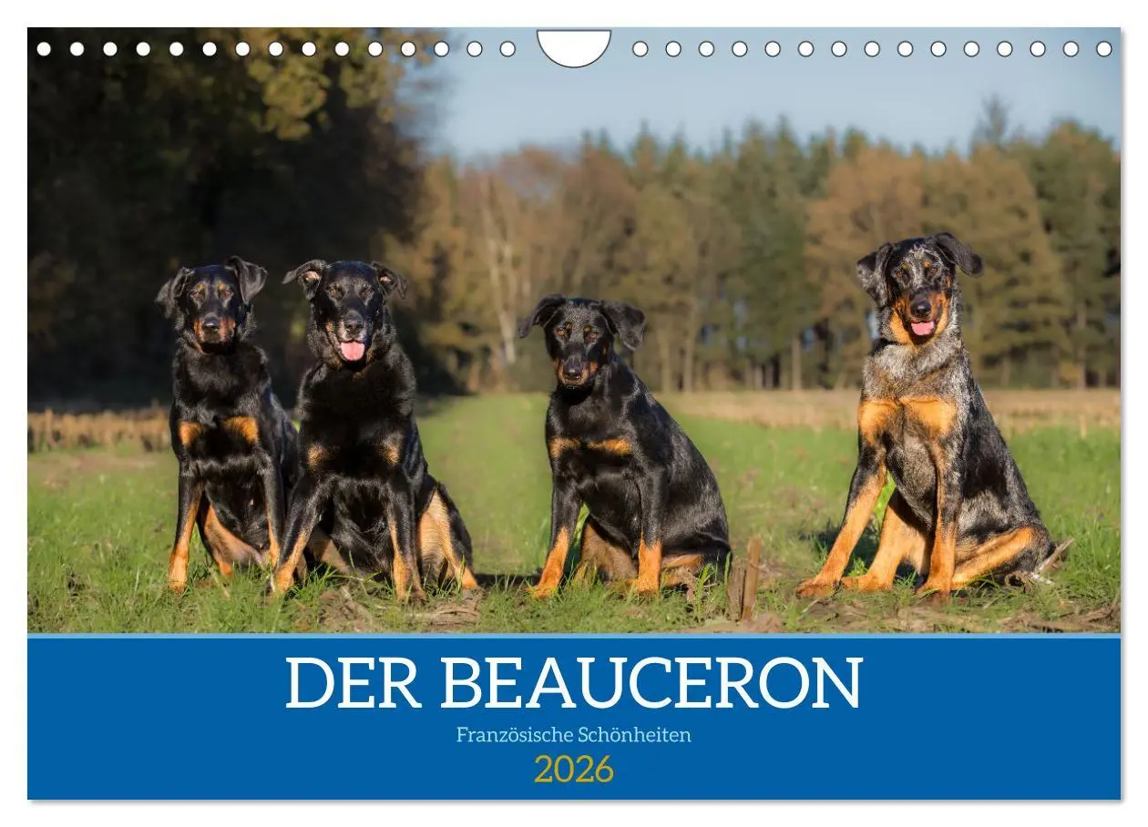 Cover: 9783457314753 | Der Beauceron (Wandkalender 2026 DIN A4 quer), CALVENDO Monatskalender