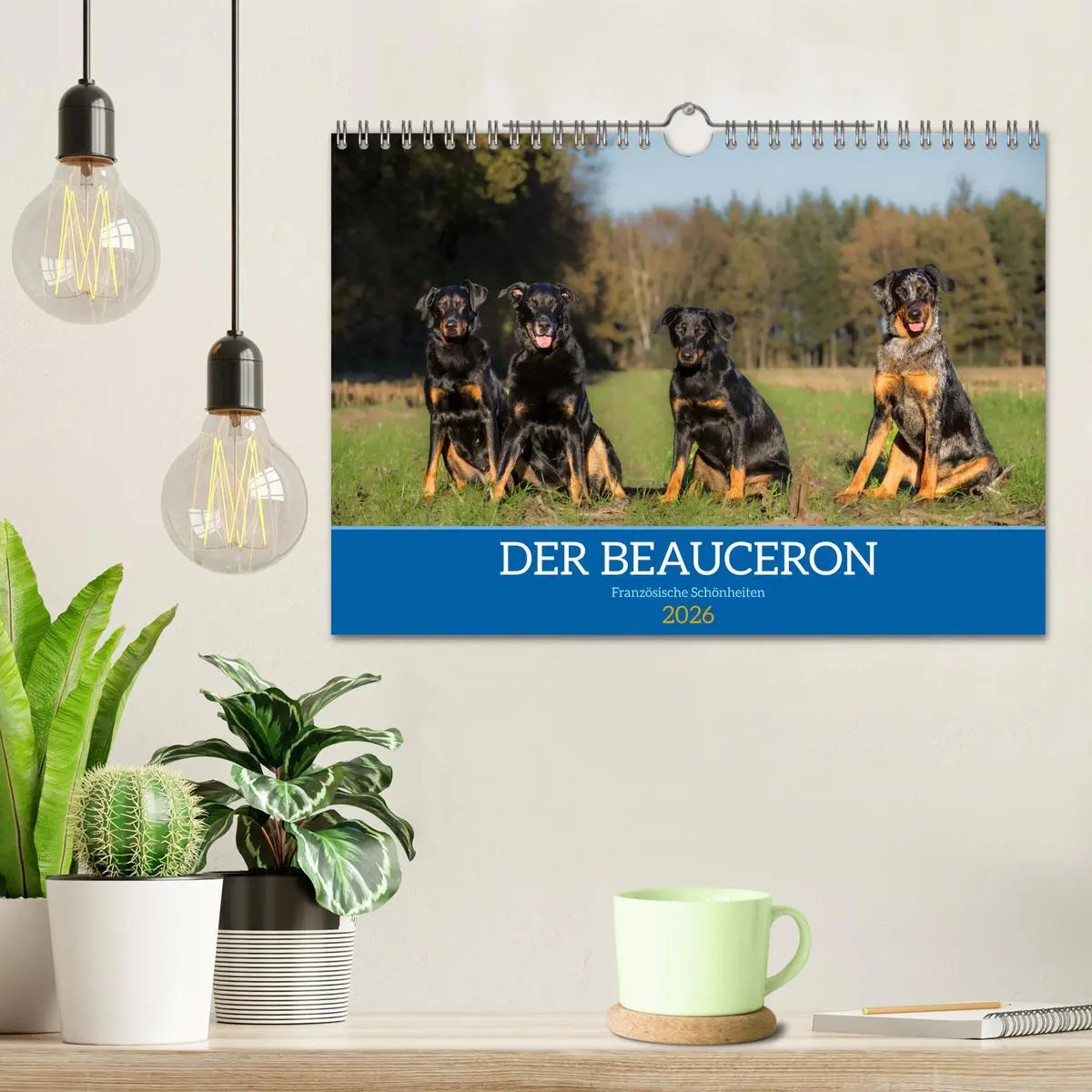 Bild: 9783457314753 | Der Beauceron (Wandkalender 2026 DIN A4 quer), CALVENDO Monatskalender