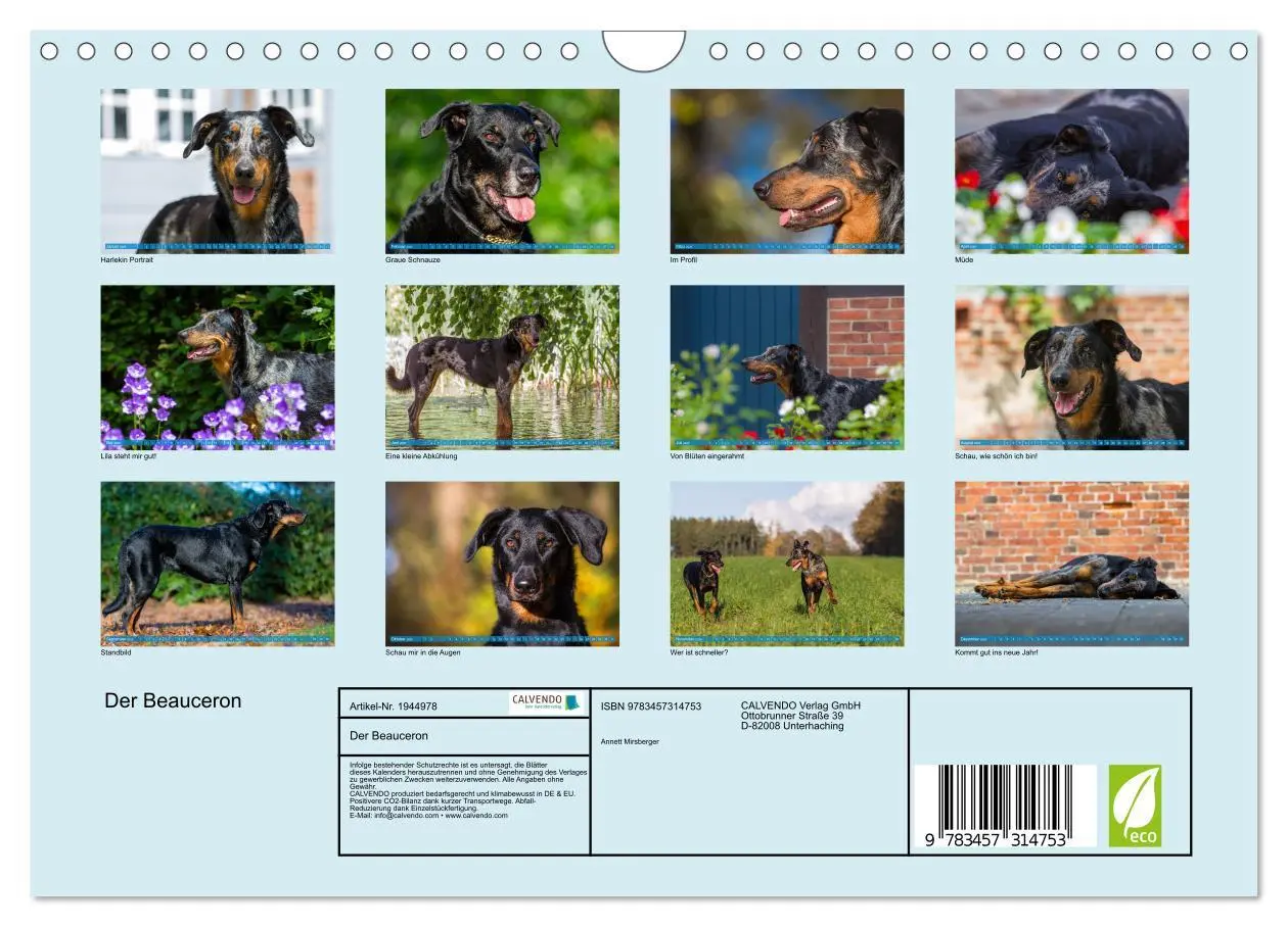 Bild: 9783457314753 | Der Beauceron (Wandkalender 2026 DIN A4 quer), CALVENDO Monatskalender