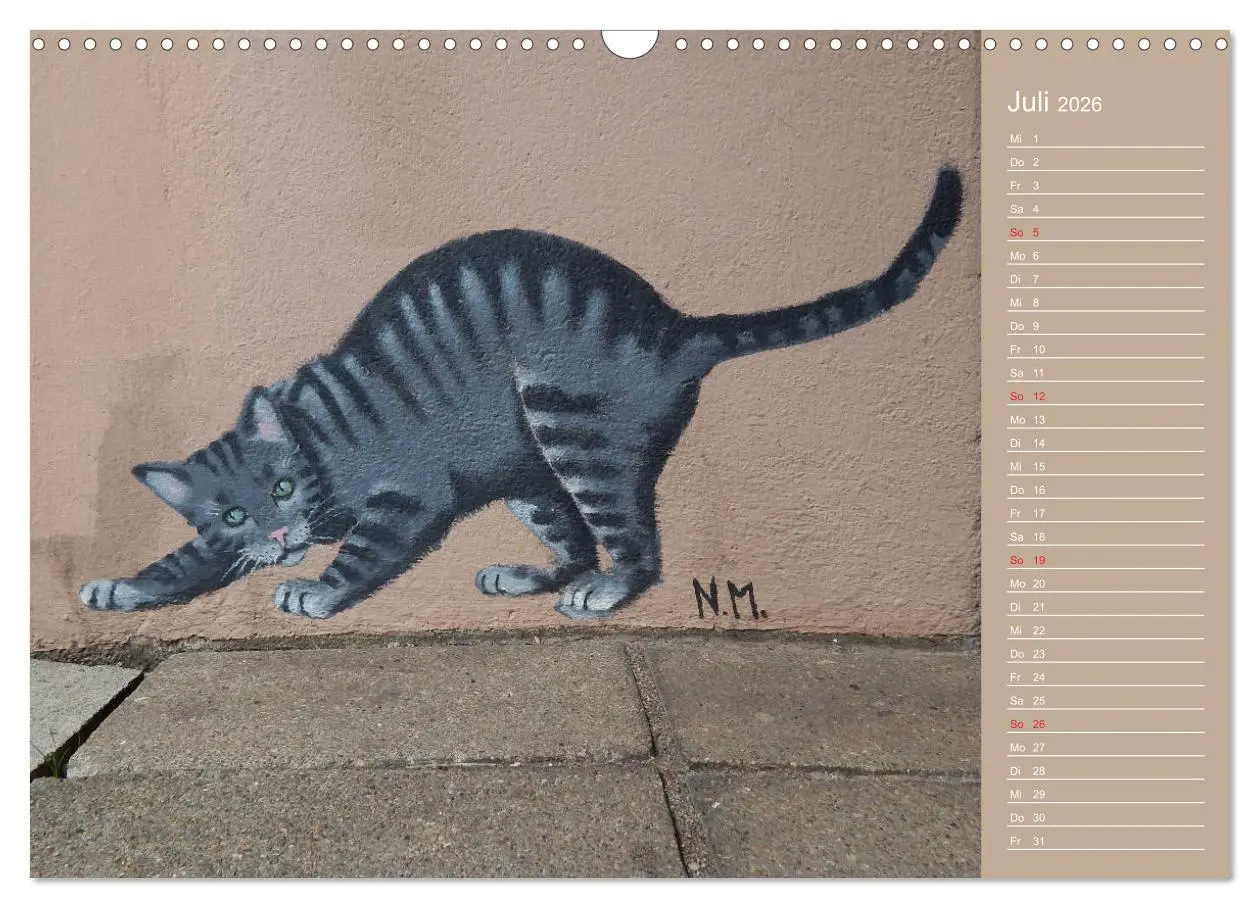 Bild: 9783457934753 | Flensburger Katzen (Wandkalender 2026 DIN A3 quer), CALVENDO...