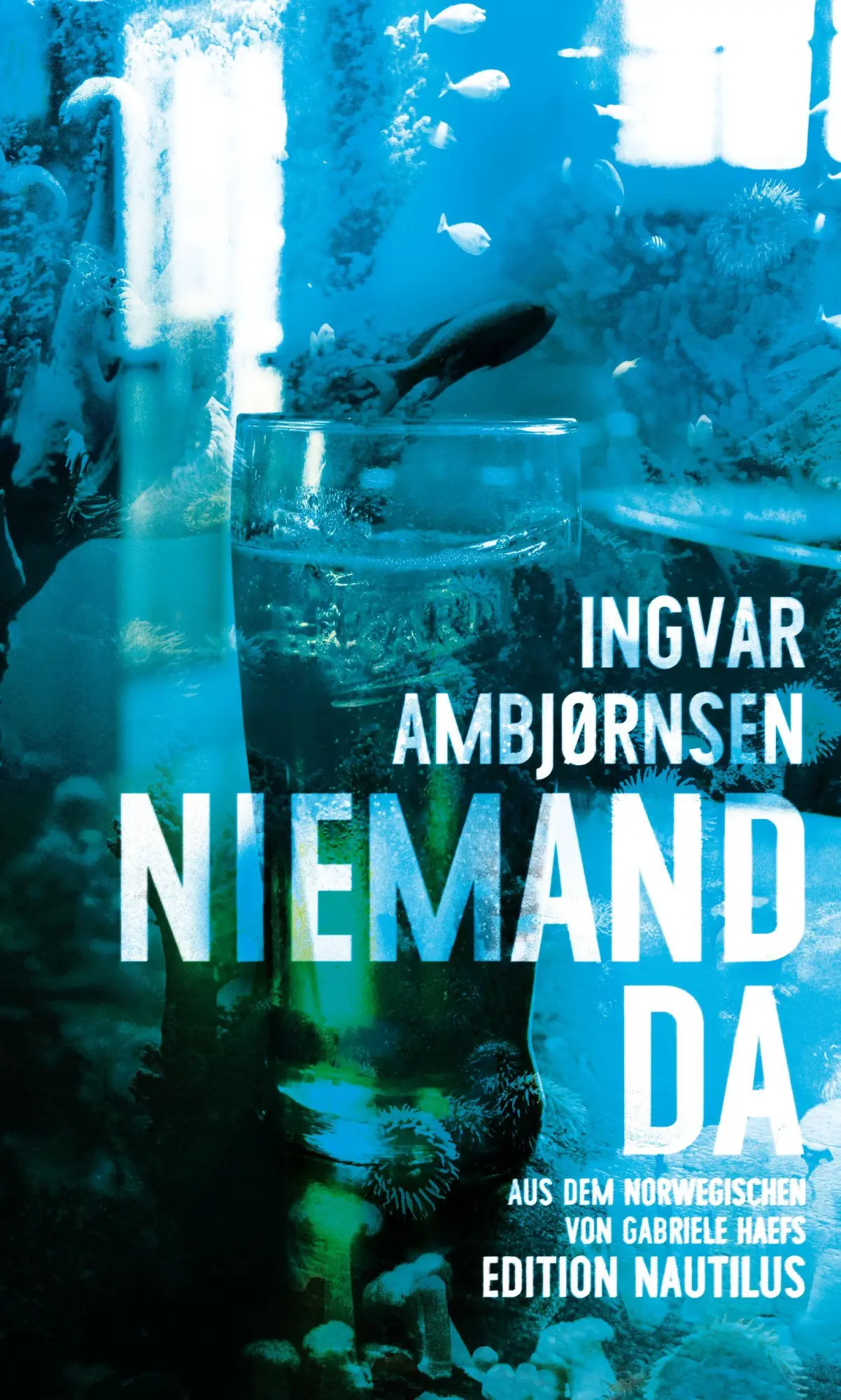 Cover: 9783960544753 | Niemand da | Erzählungen | Ingvar Ambjørnsen | Buch | 208 S. | Deutsch