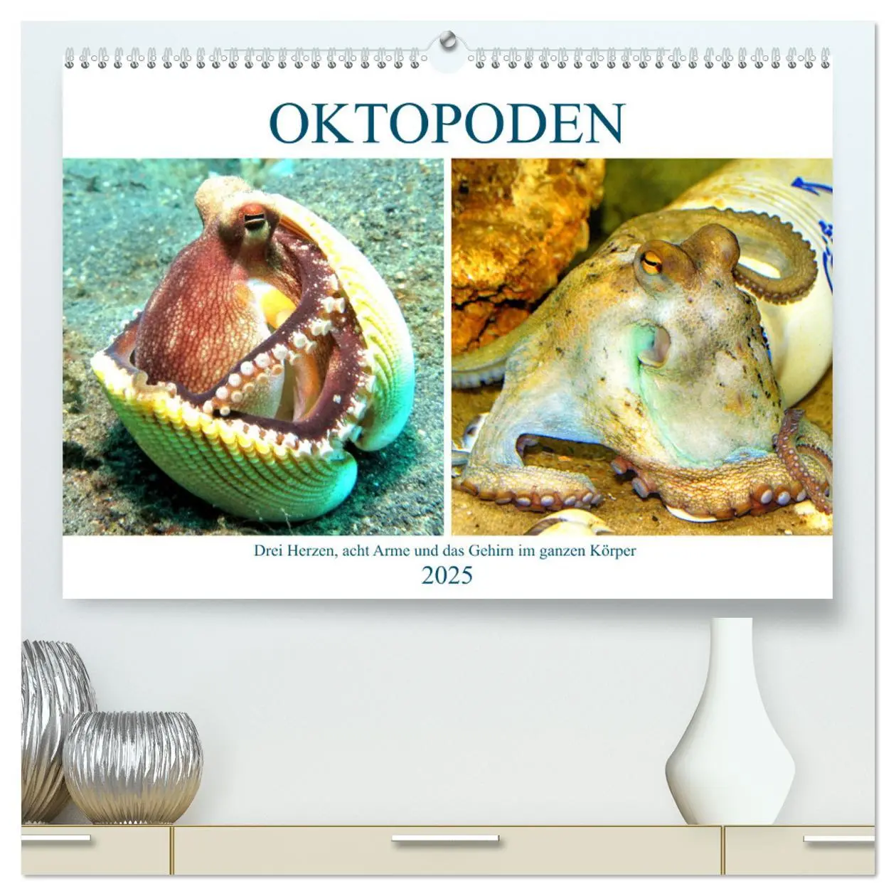 Cover: 9783435074853 | Oktopoden. Drei Herzen, acht Arme und das Gehirn im ganzen Körper...