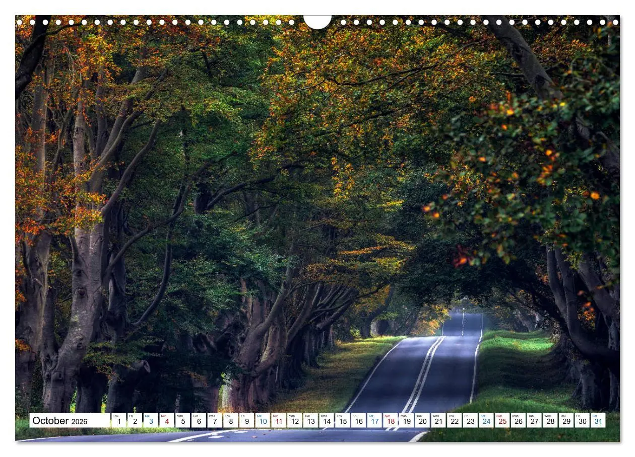 Bild: 9783516564853 | Dorset (Wall Calendar 2026 DIN A3 landscape), CALVENDO 12 Month...