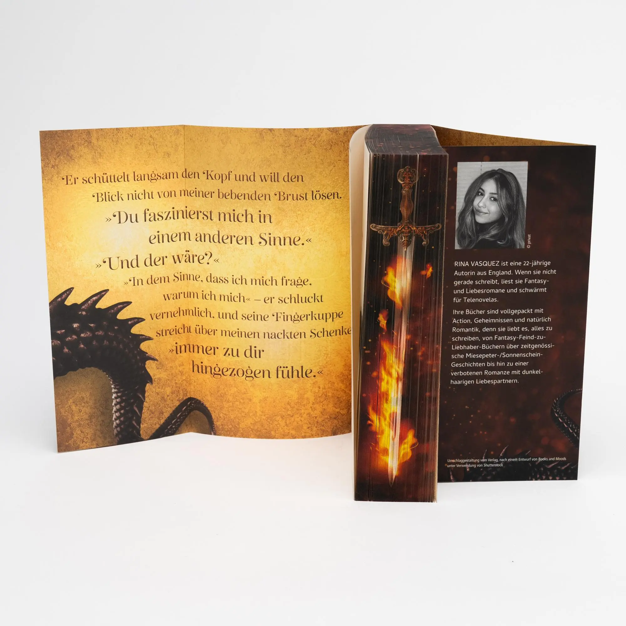 Bild: 9783745704853 | A City of Flames | Rina Vasquez | Taschenbuch | 464 S. | Deutsch