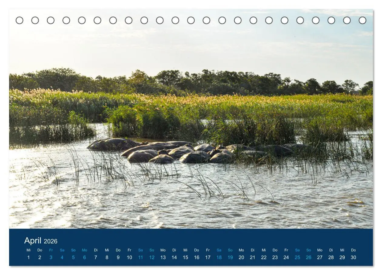 Bild: 9783457604953 | Nilpferde, Kolosse in Afrika (Tischkalender 2026 DIN A5 quer),...