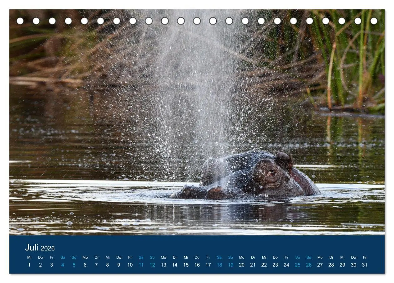 Bild: 9783457604953 | Nilpferde, Kolosse in Afrika (Tischkalender 2026 DIN A5 quer),...