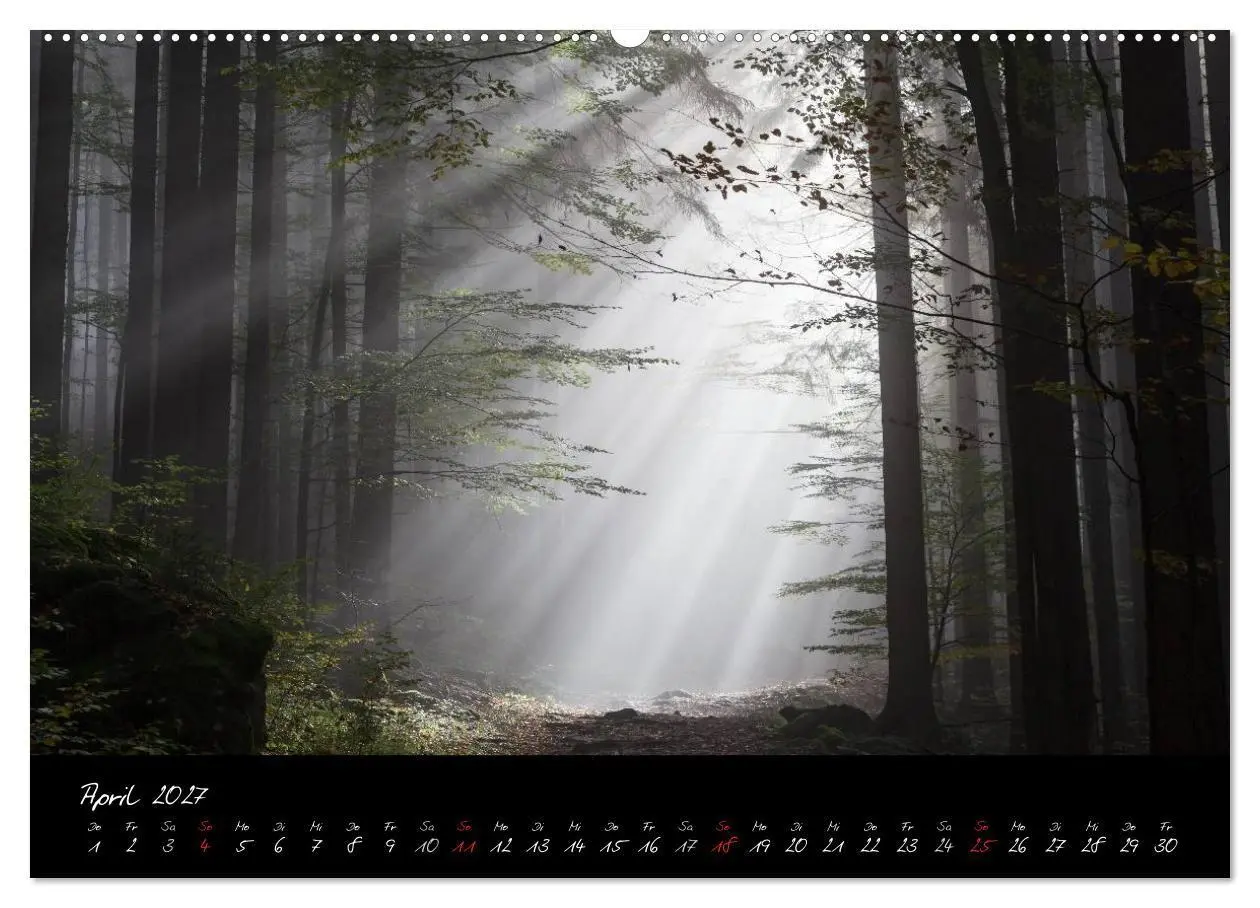 Bild: 9783594224953 | Bayerischer Wald (hochwertiger Premium Wandkalender 2027 DIN A2...