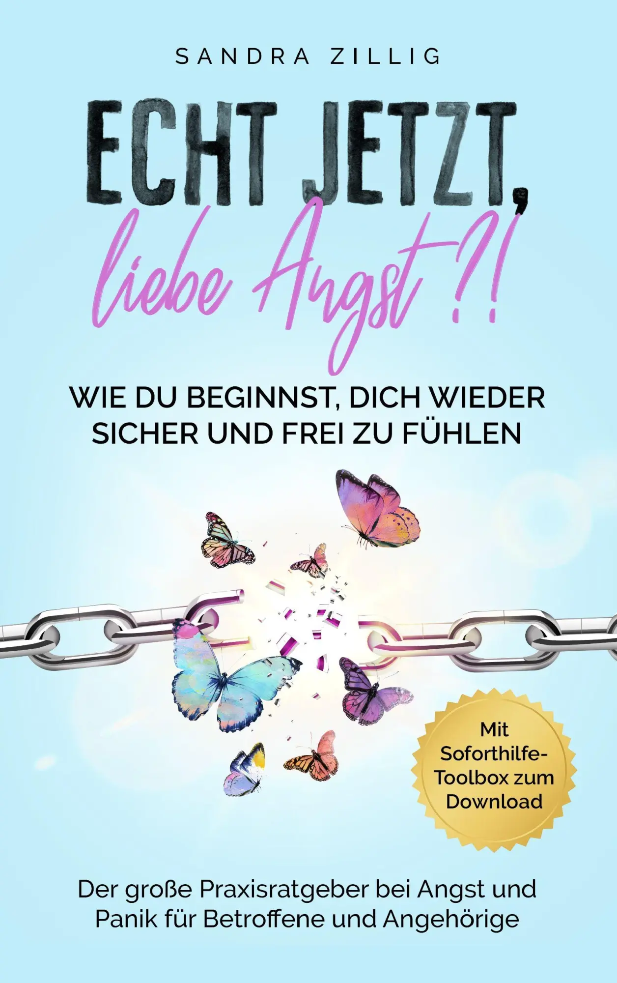Cover: 9783000865053 | Echt JETZT, liebe Angst?! | Sandra Zillig | Taschenbuch | 260 S.