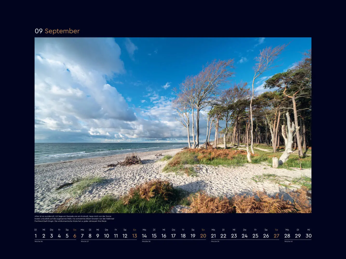 Bild: 9783965915053 | Wildnis Deutschland - KUNTH Wandkalender 2026 | Kalender | Deutsch