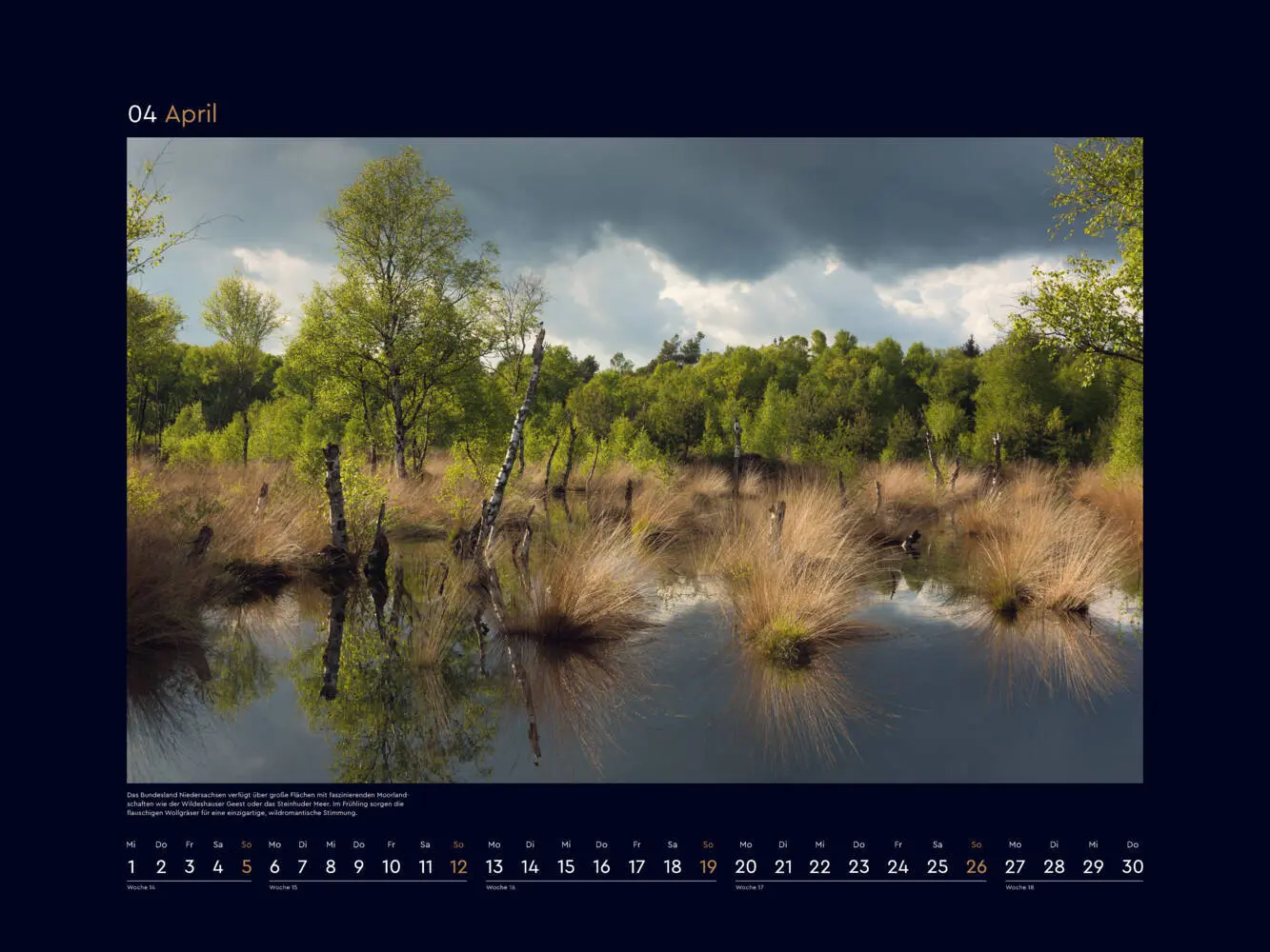 Bild: 9783965915053 | Wildnis Deutschland - KUNTH Wandkalender 2026 | Kalender | Deutsch