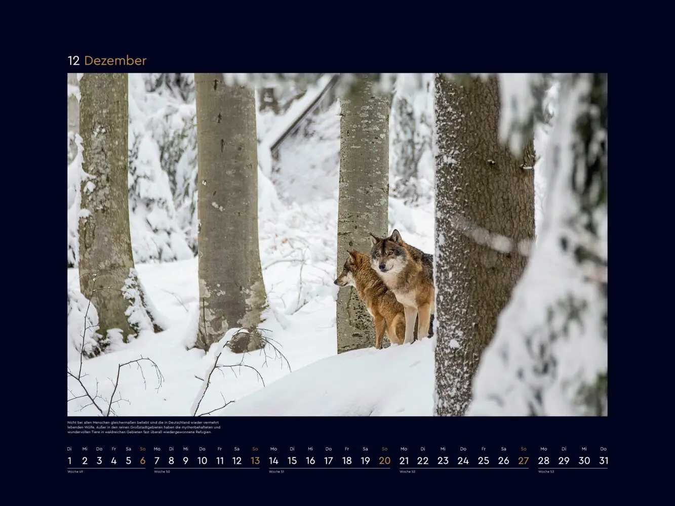 Bild: 9783965915053 | Wildnis Deutschland - KUNTH Wandkalender 2026 | Kalender | Deutsch