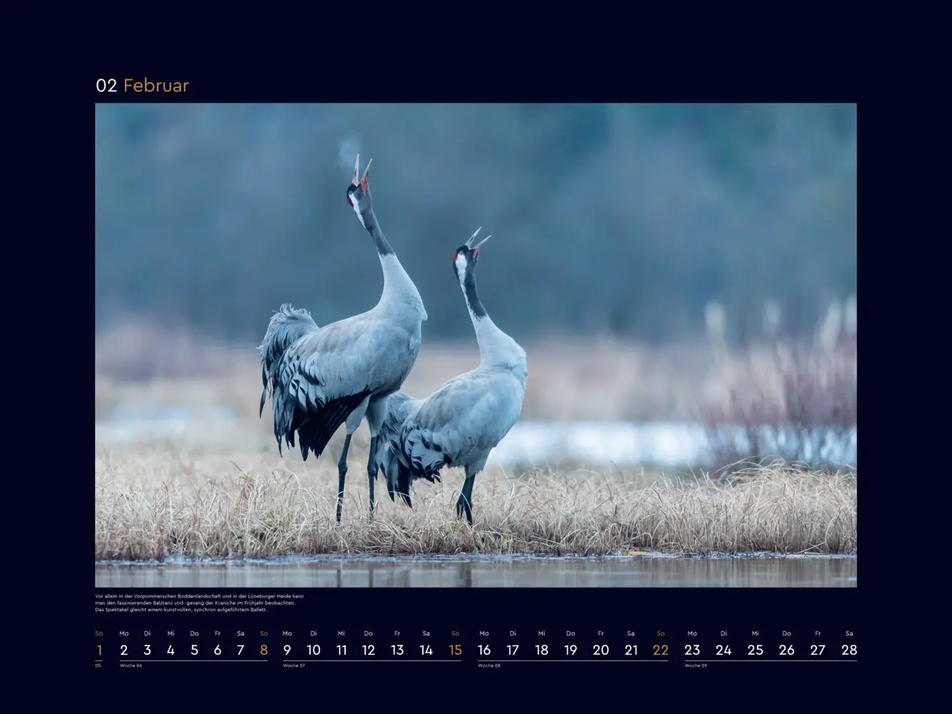 Bild: 9783965915053 | Wildnis Deutschland - KUNTH Wandkalender 2026 | Kalender | Deutsch