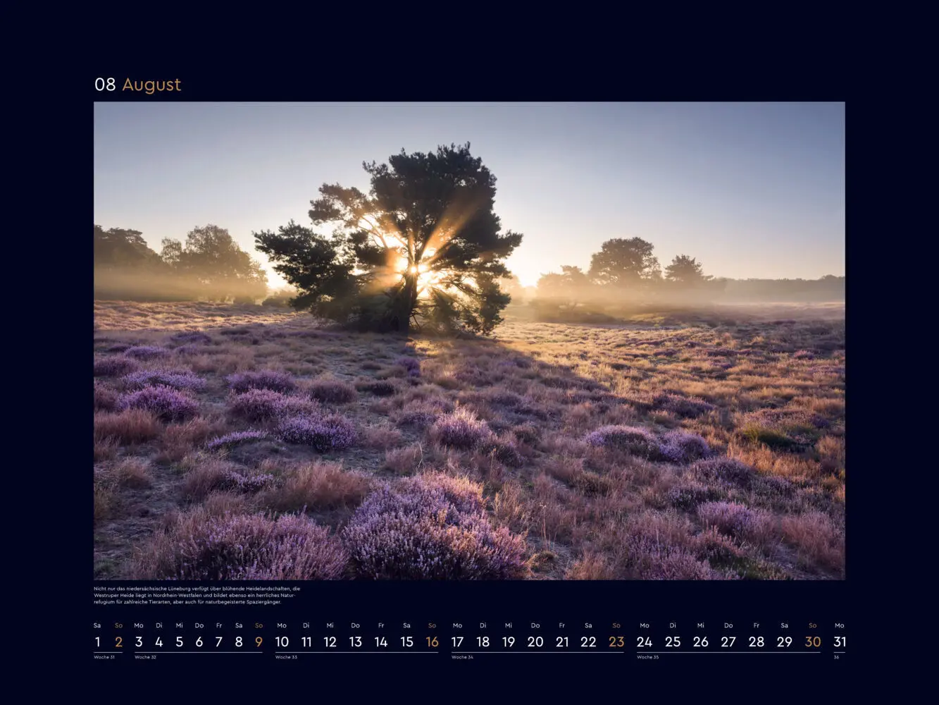 Bild: 9783965915053 | Wildnis Deutschland - KUNTH Wandkalender 2026 | Kalender | Deutsch