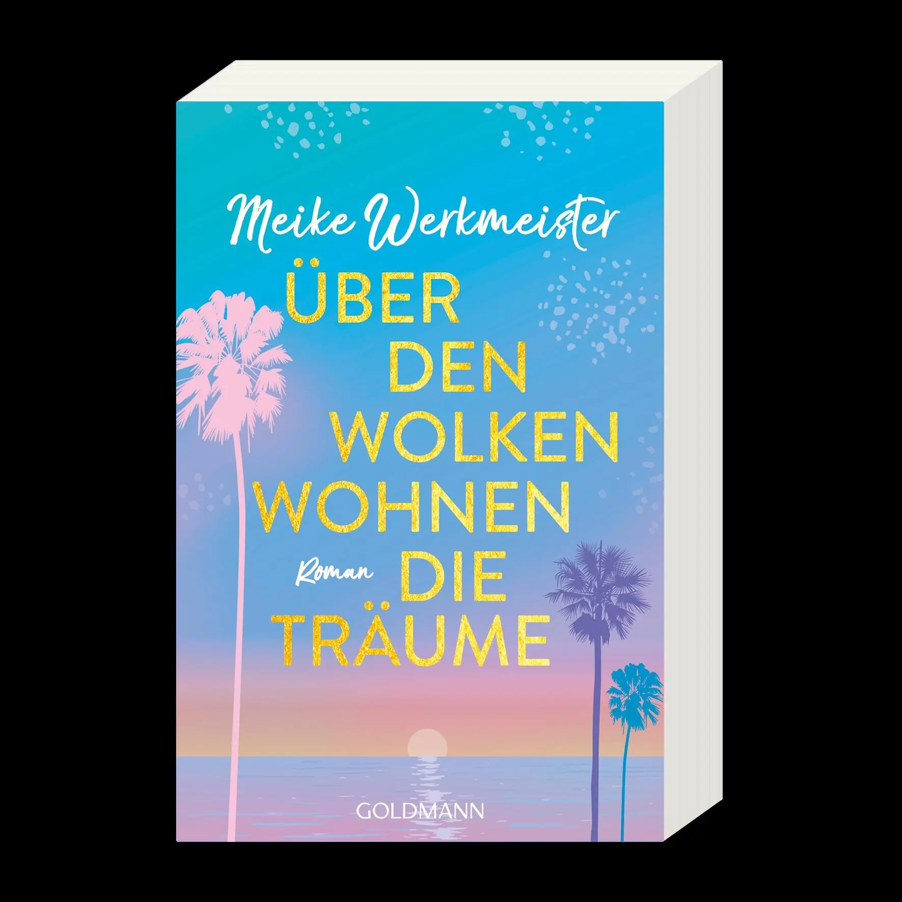 Bild: 9783442495153 | Über den Wolken wohnen die Träume | Meike Werkmeister | Taschenbuch