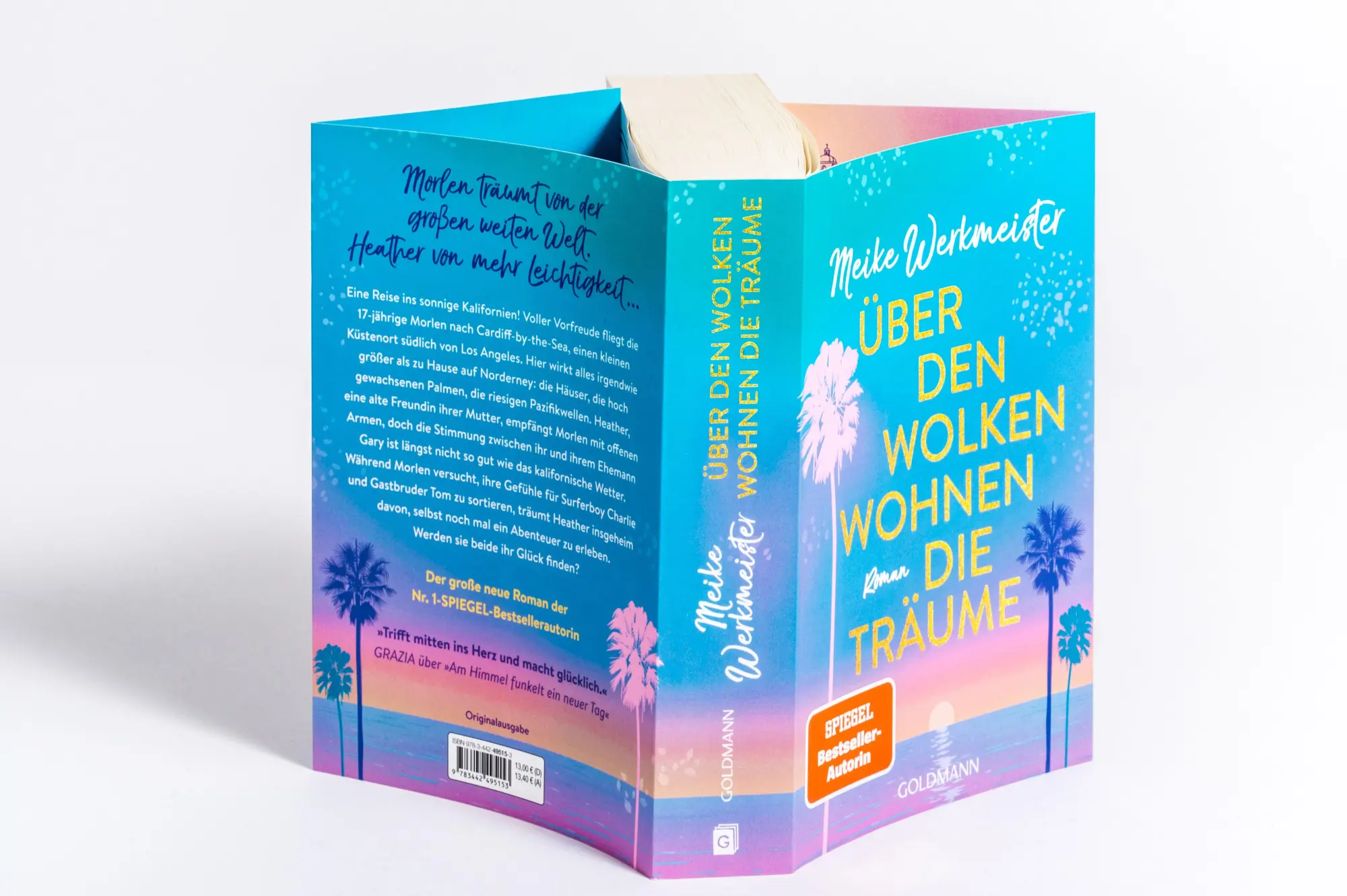 Bild: 9783442495153 | Über den Wolken wohnen die Träume | Meike Werkmeister | Taschenbuch