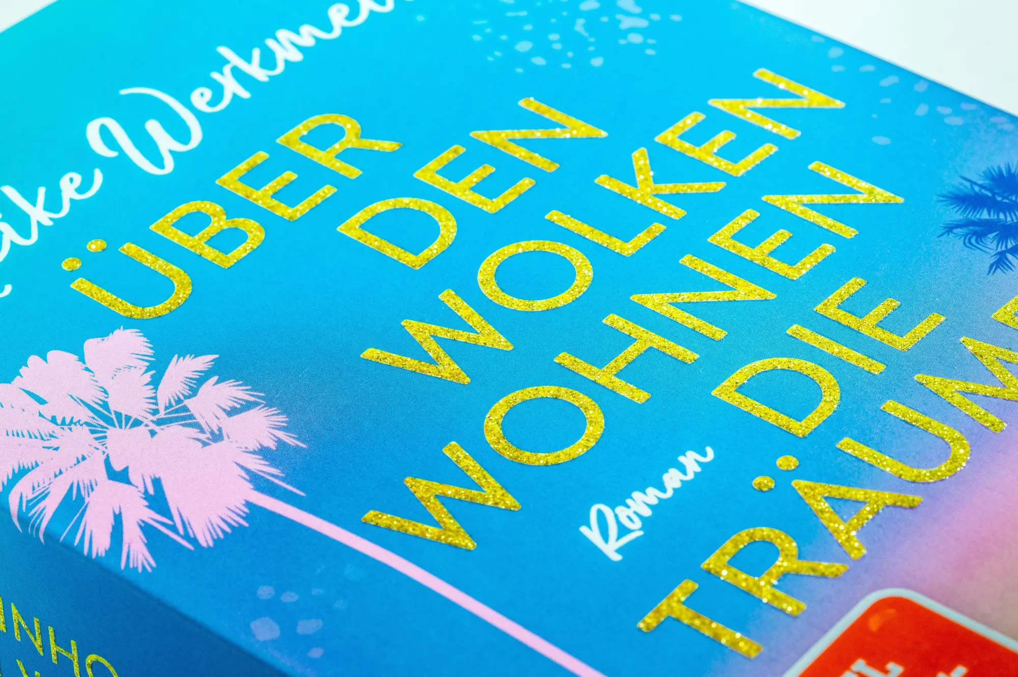 Bild: 9783442495153 | Über den Wolken wohnen die Träume | Meike Werkmeister | Taschenbuch