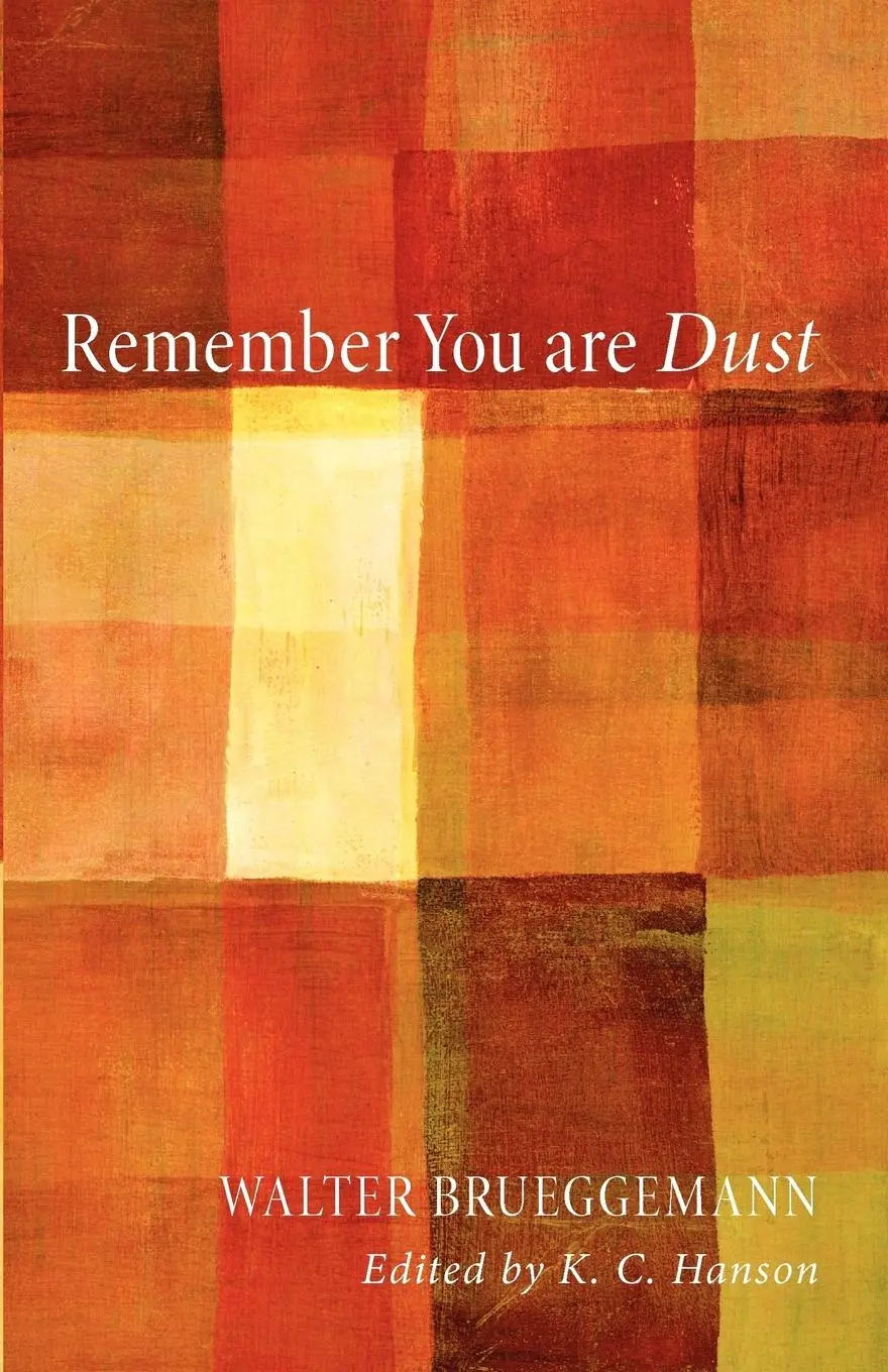 Cover: 9781610975353 | Remember You Are Dust | Walter Brueggemann | Taschenbuch | Englisch