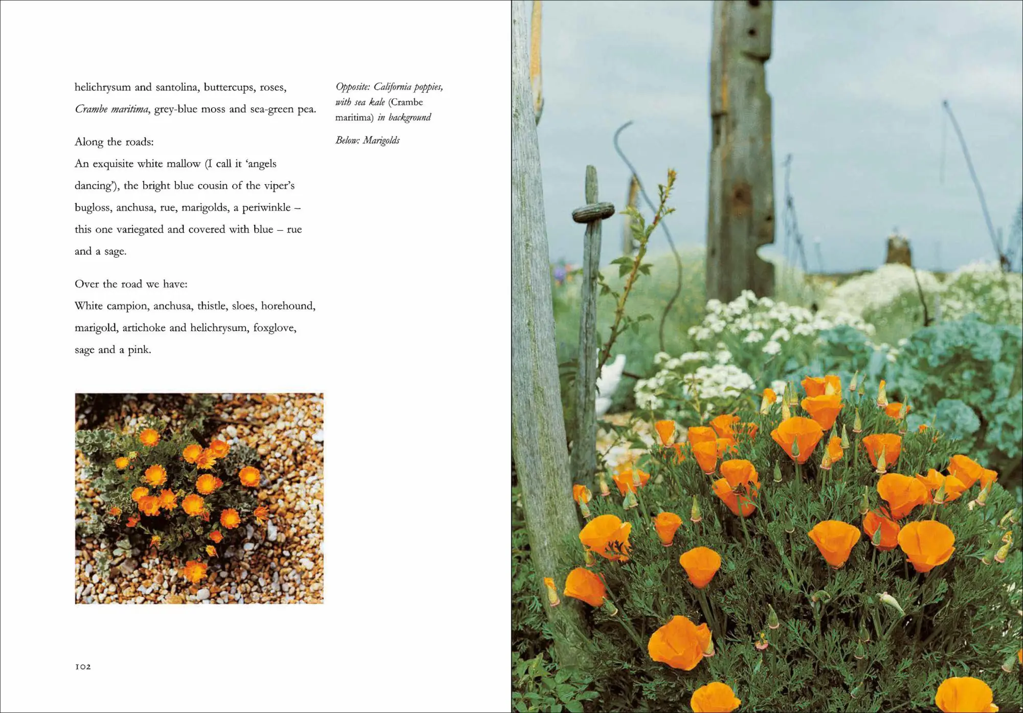 Bild: 9781643265353 | Derek Jarman's Garden | 30th Anniversary Edition | Derek Jarman | Buch