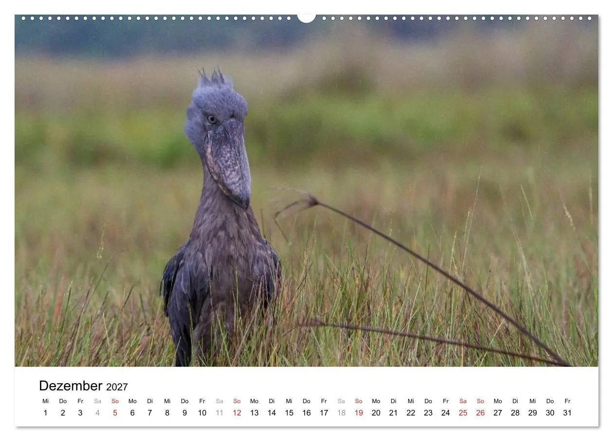 Bild: 9783594015353 | Uganda - die Perle Afrikas (Wandkalender 2027 DIN A2 quer),...