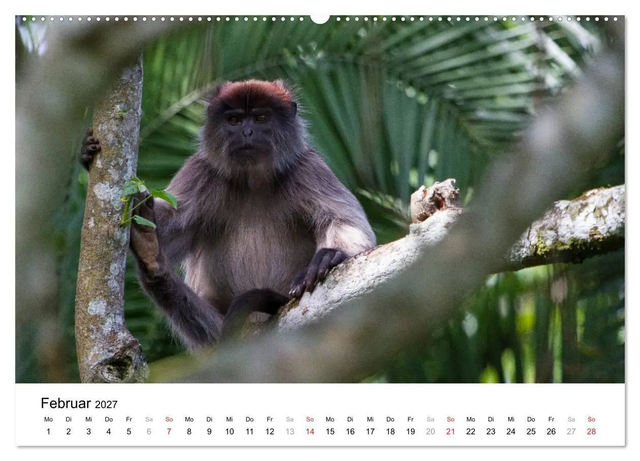 Bild: 9783594015353 | Uganda - die Perle Afrikas (Wandkalender 2027 DIN A2 quer),...