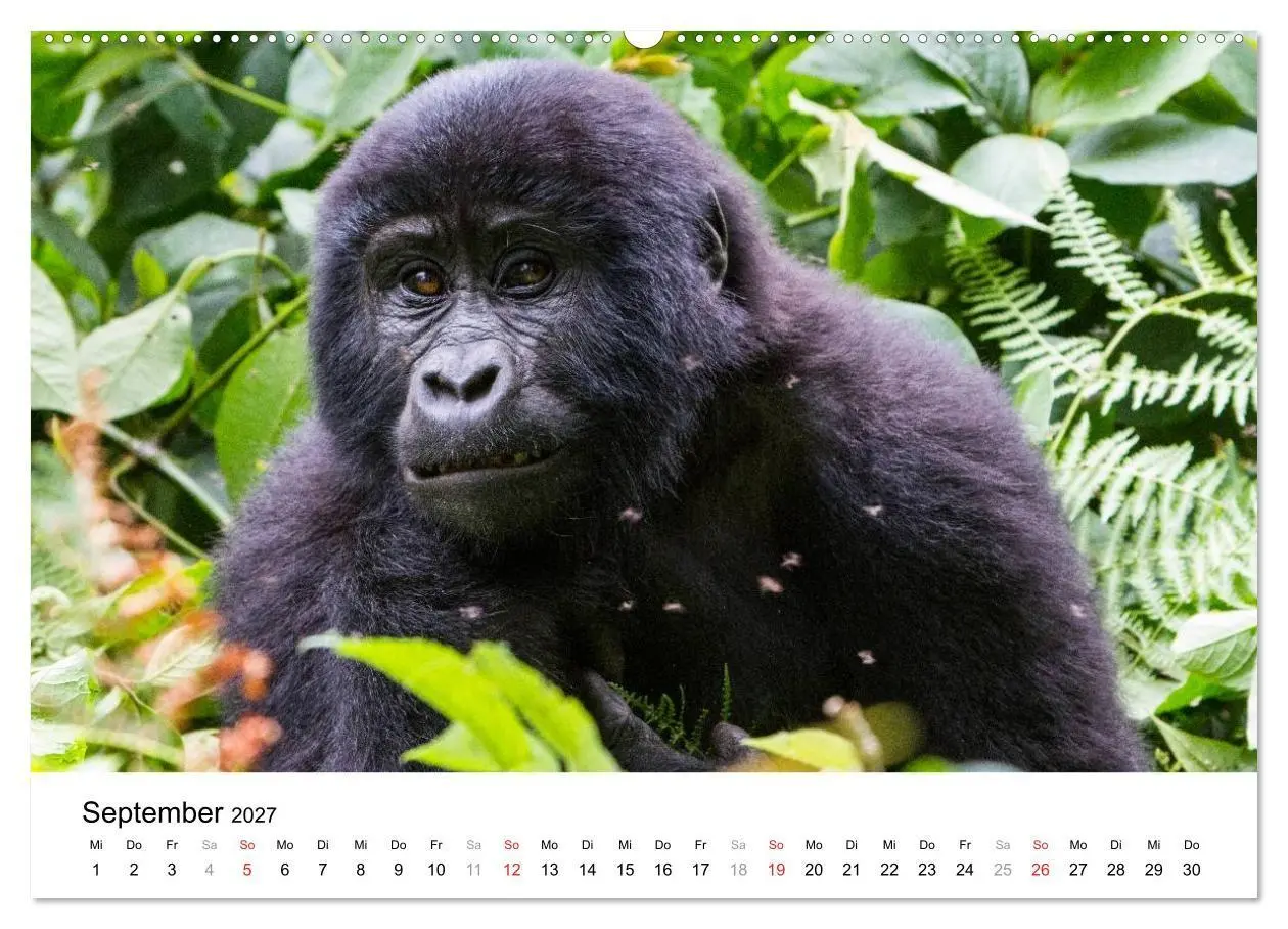 Bild: 9783594015353 | Uganda - die Perle Afrikas (Wandkalender 2027 DIN A2 quer),...